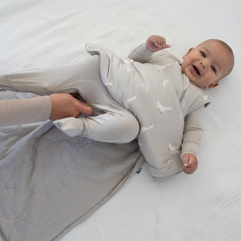 2.5 TOG Sleep Bag - Goose