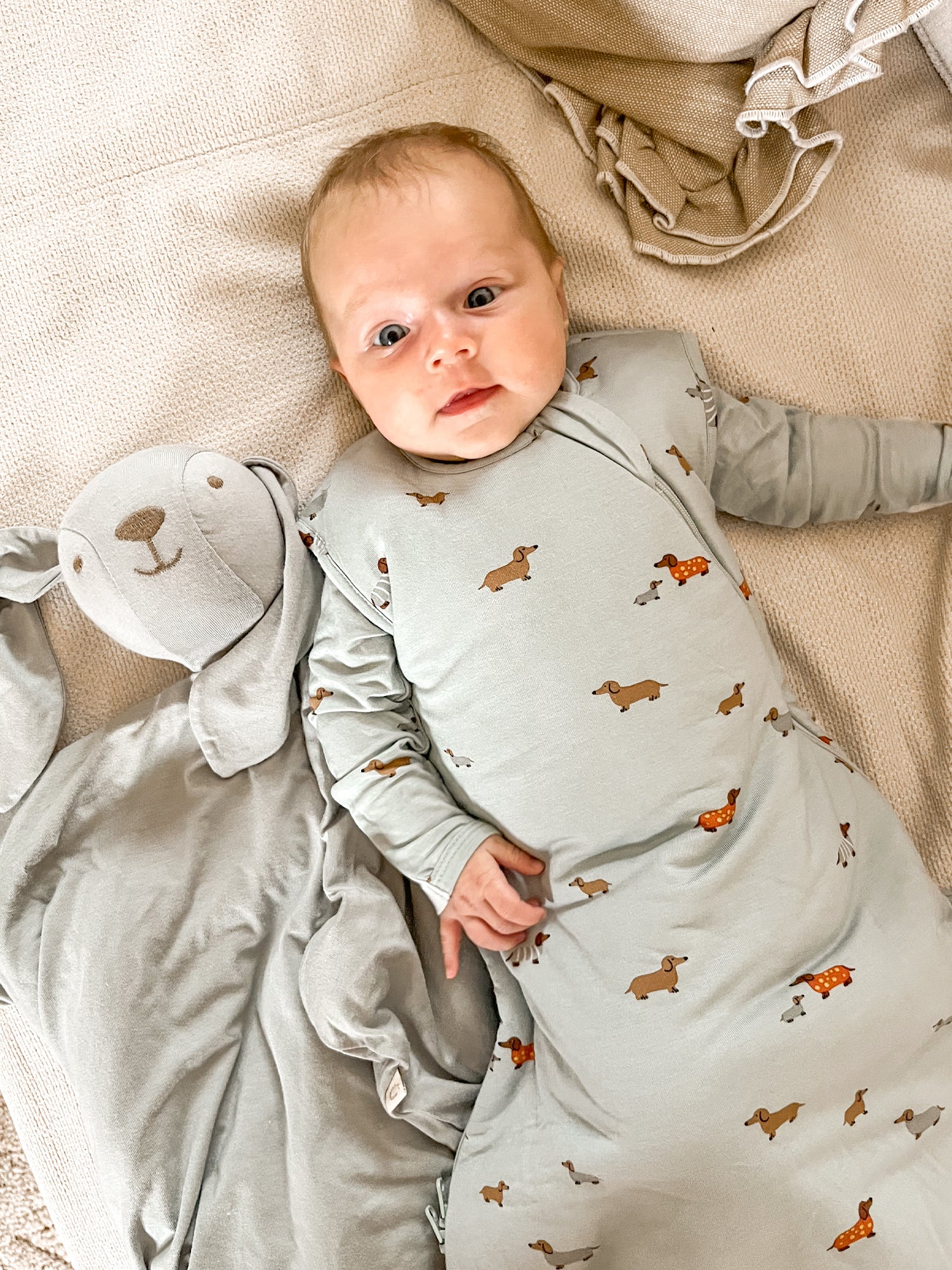 Sleep Sack - Woof / 1.0 TOG