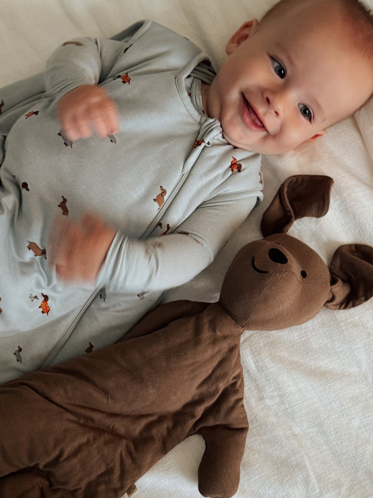 Sleep Sack - Woof / 2.5 TOG