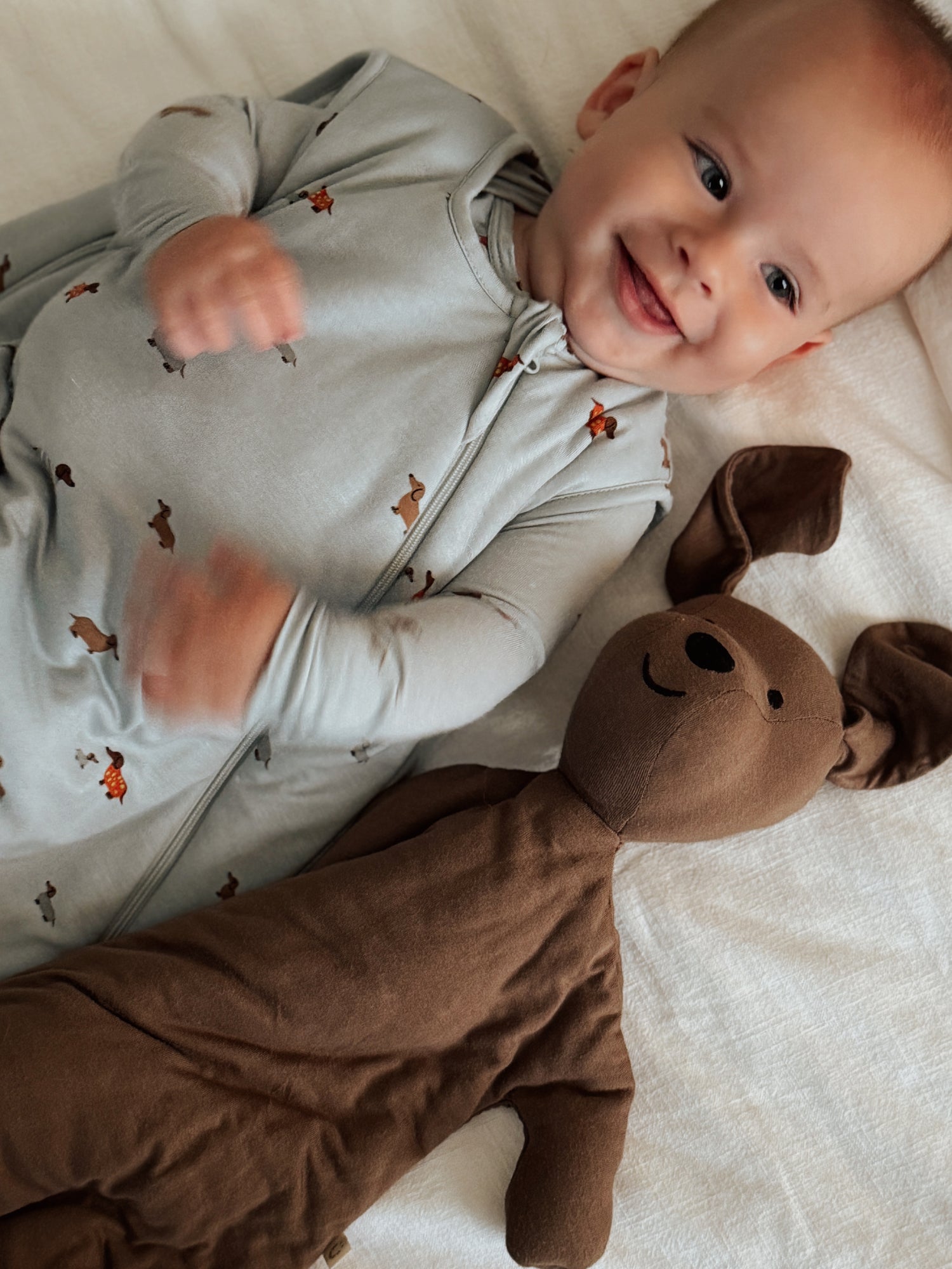 Sleep Sack - Woof / 2.5 TOG