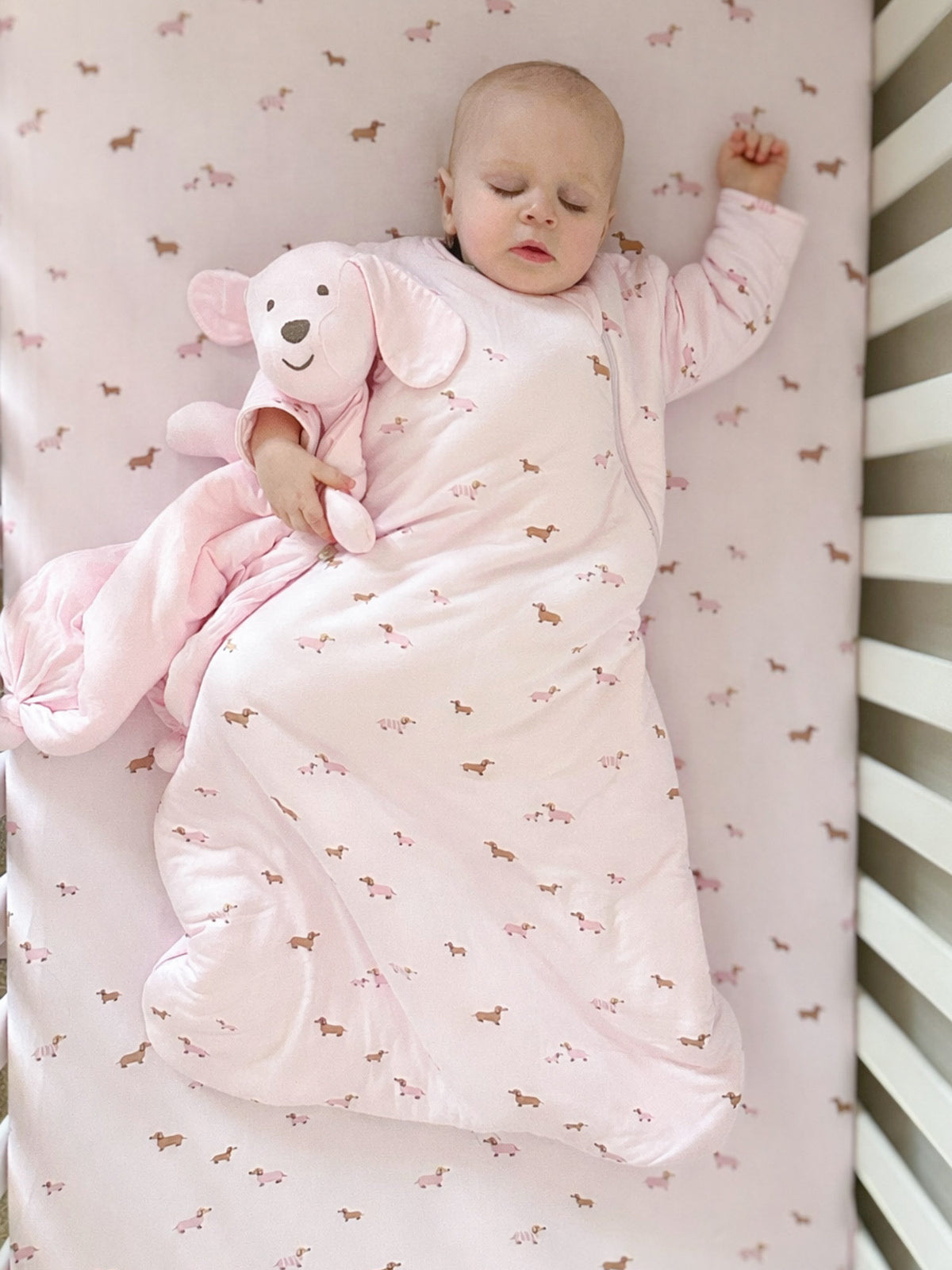 Pink long-sleeve baby sleep sack with dog print, front view