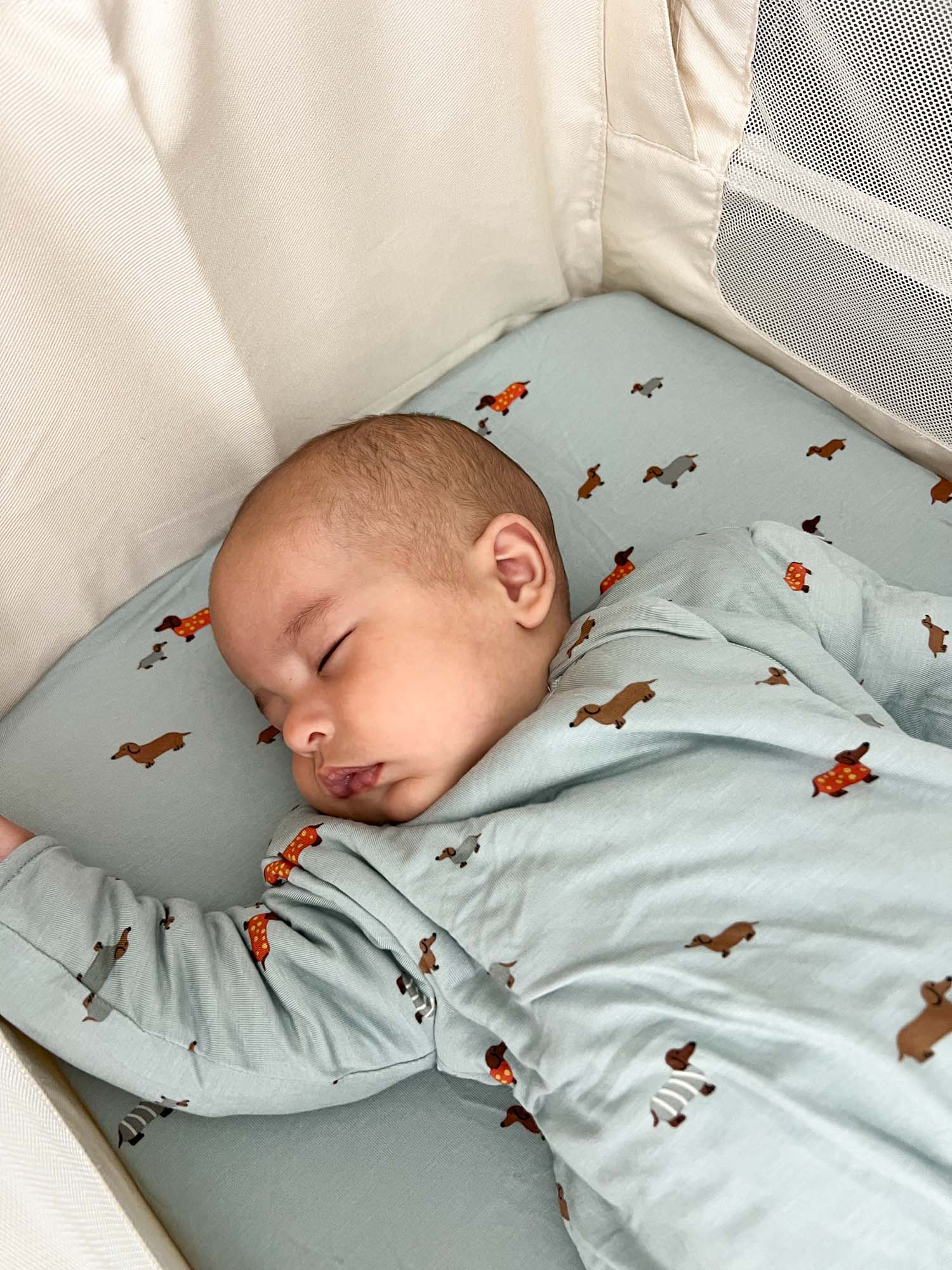 Long Sleeve Sleep Sack - Woof / 1.0 TOG