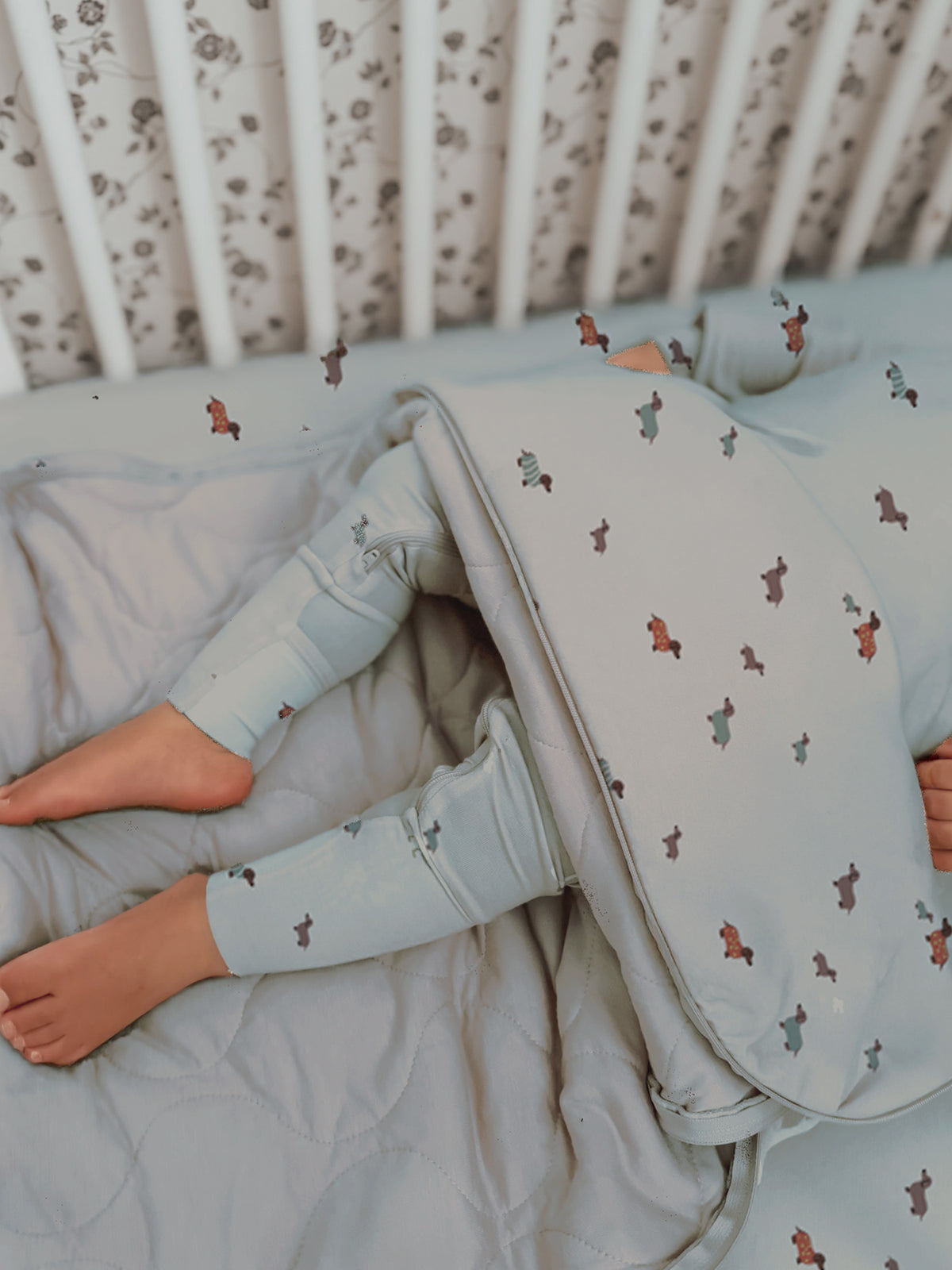 Long Sleeve Sleep Sack - Woof / 1.0 TOG