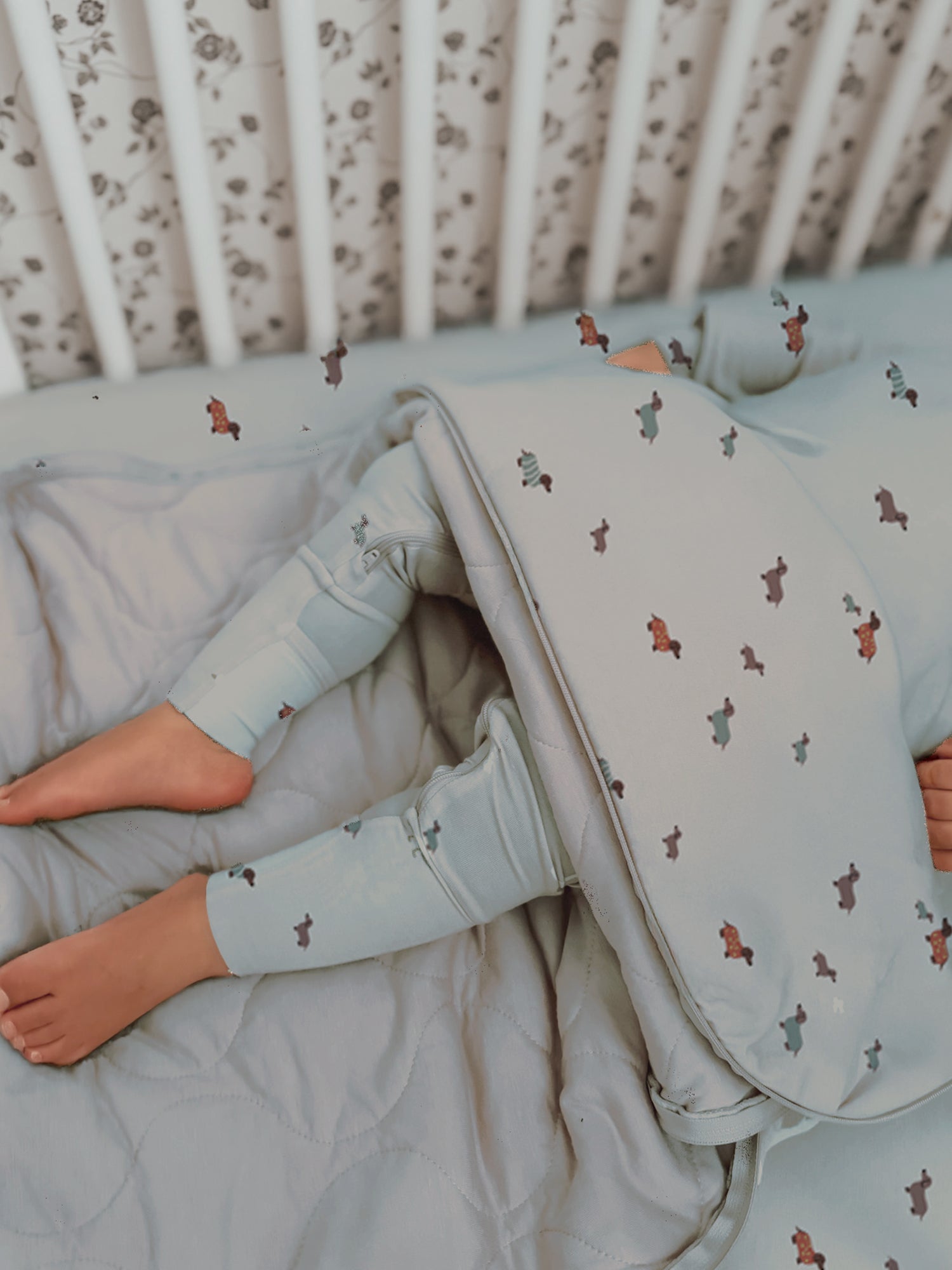 Long Sleeve Sleep Sack - Woof / 1.0 TOG