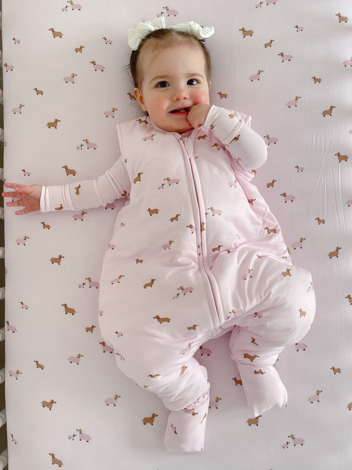 Footie Sleep Sack - Girl Dog / 2.5 TOG
