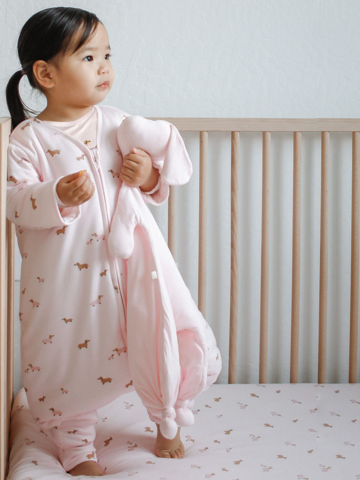 Long Sleeve Footie Sleep Sack - Girl Dog / 0.5 TOG