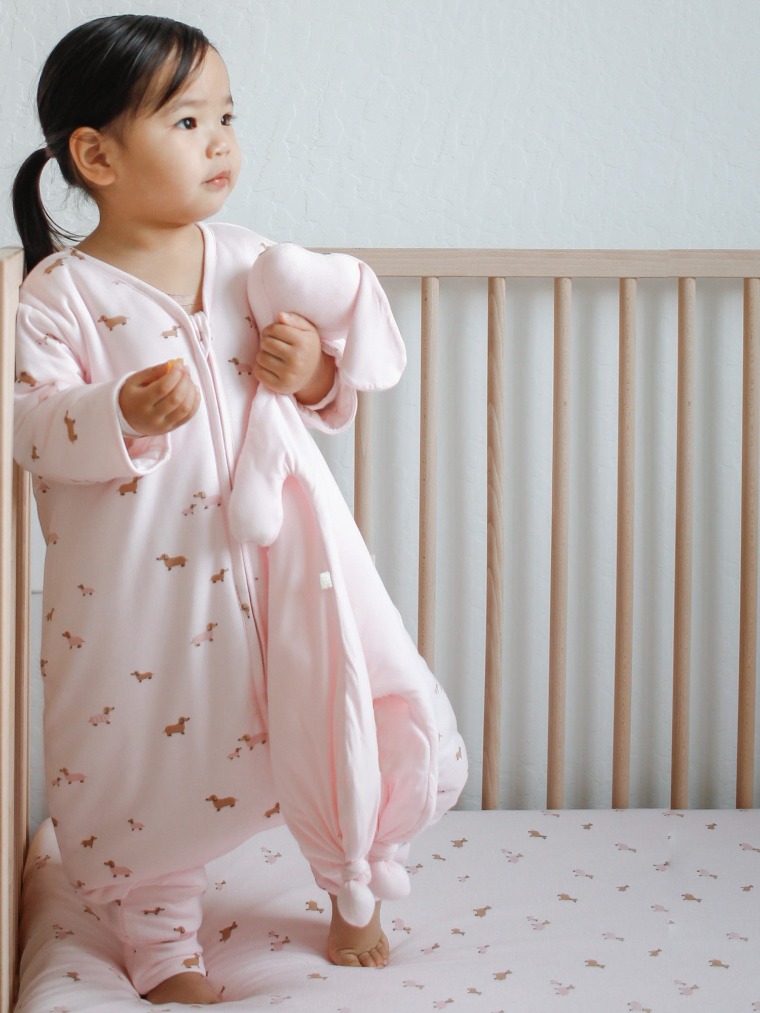 Long Sleeve Footie Sleep Sack - Girl Dog / 0.5 TOG