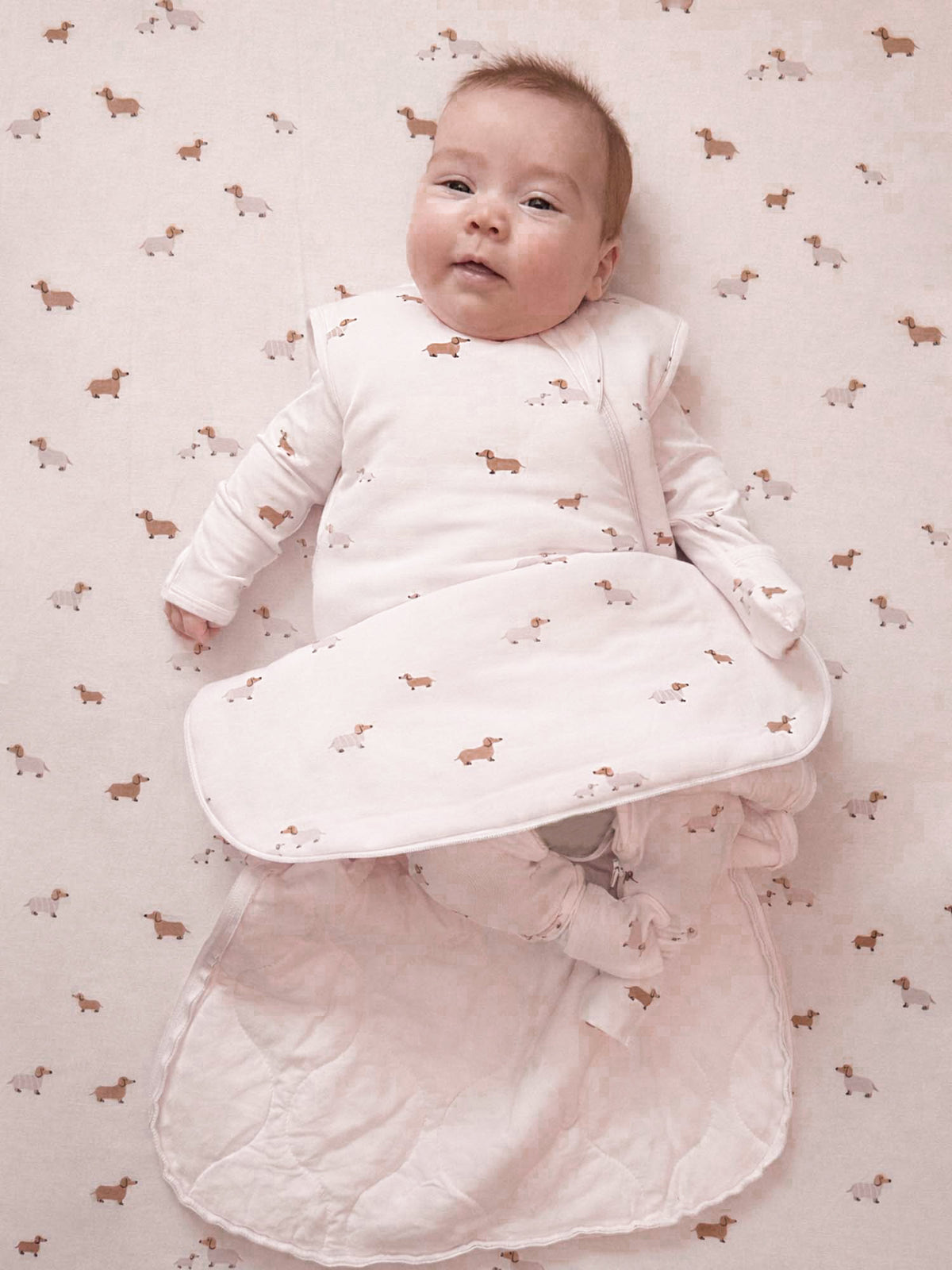 Swaddle Sleep Sack - Girldog / 2.5 TOG