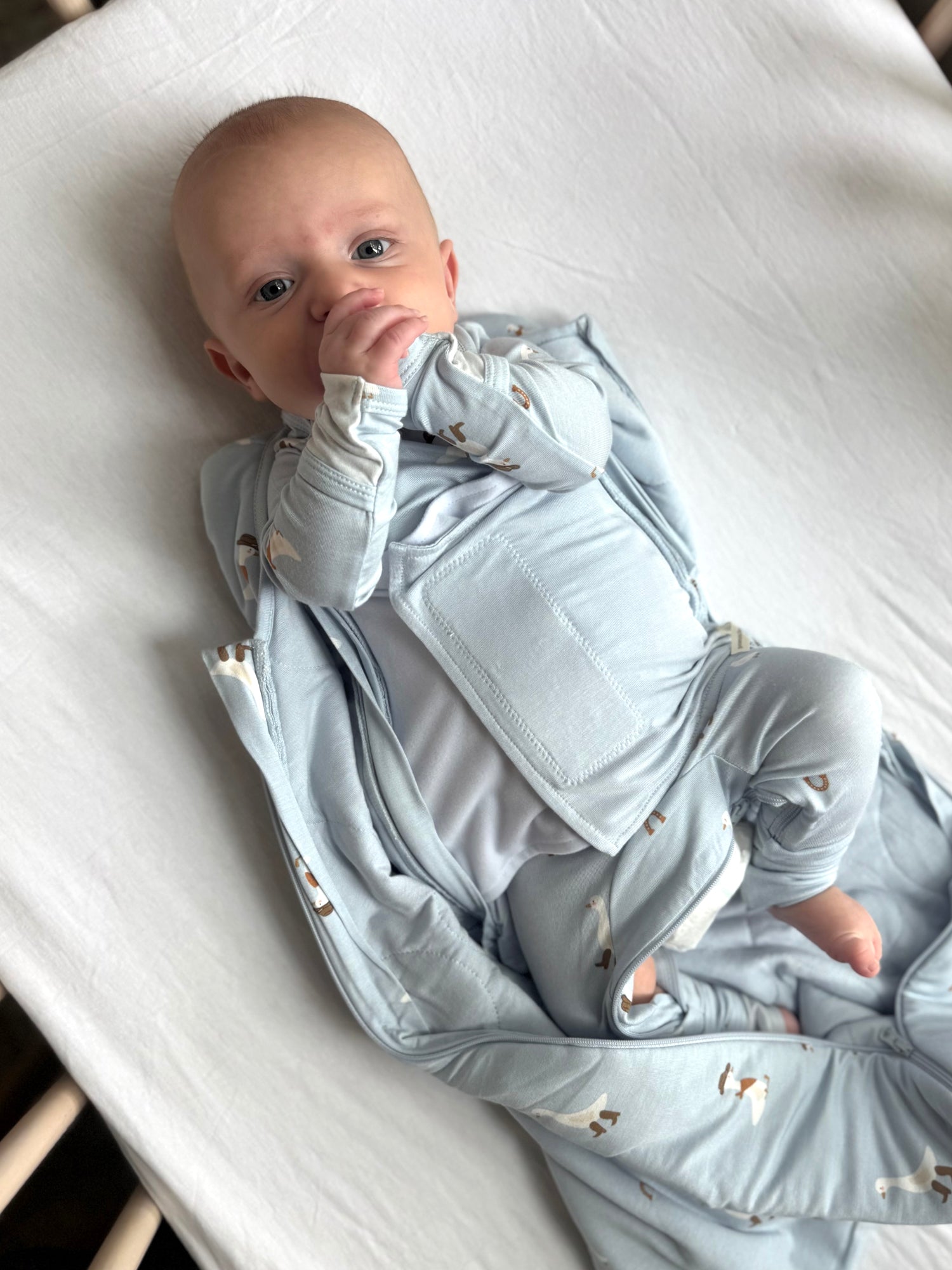 Swaddle Sleep Sack - Cowboy / 2.5 TOG