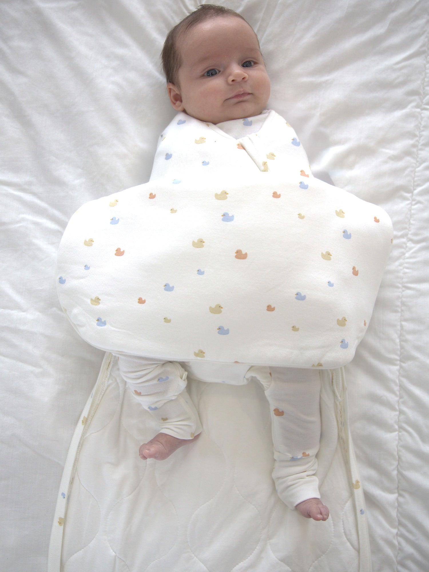 Swaddle Sleep Sack - Ducks