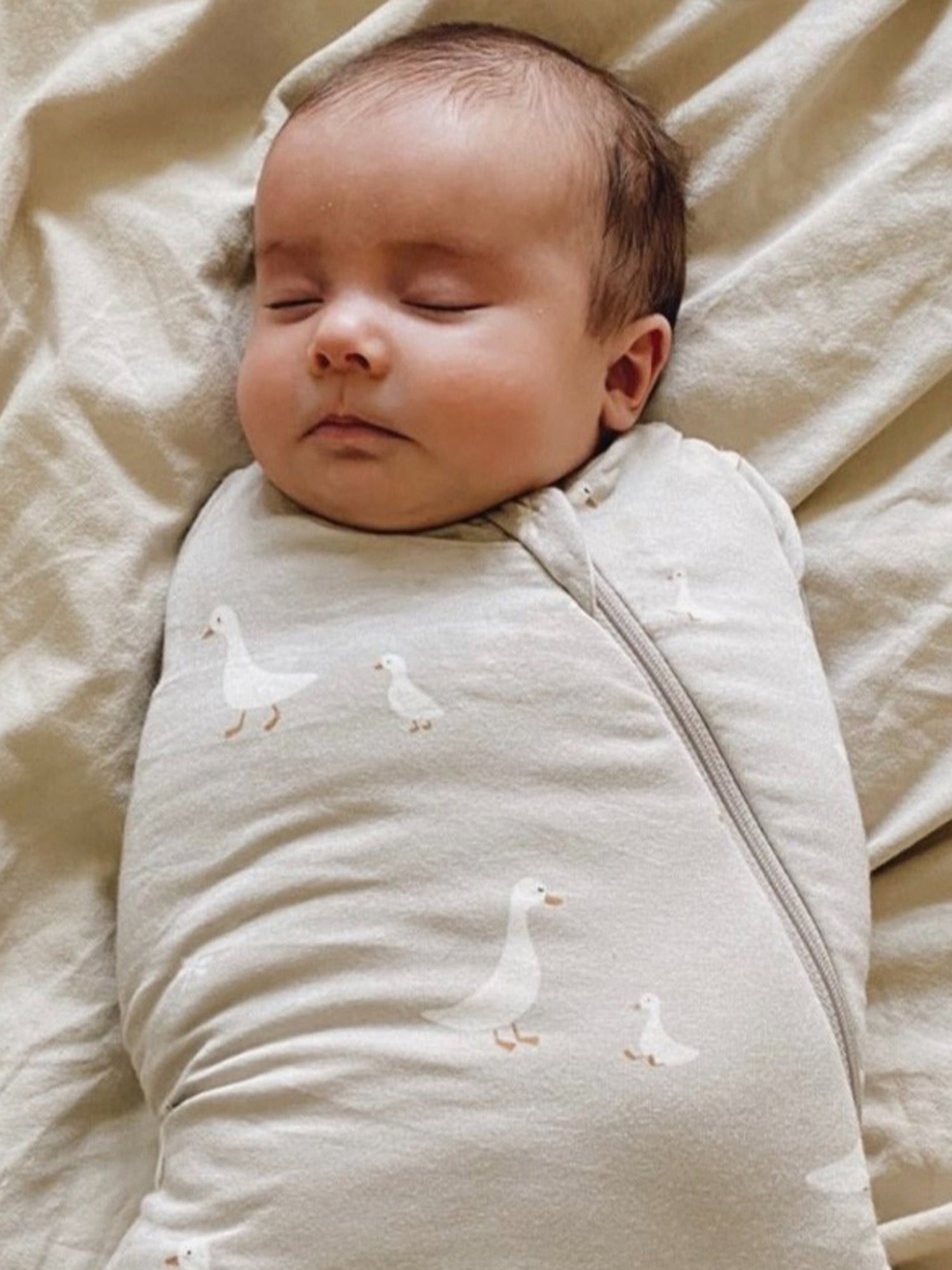 Swaddle Sleep Sack - Goose