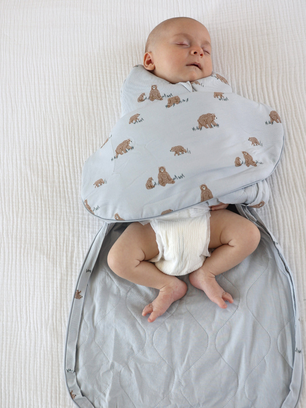Swaddle Sleep Sack - Teddies / 1.0 TOG