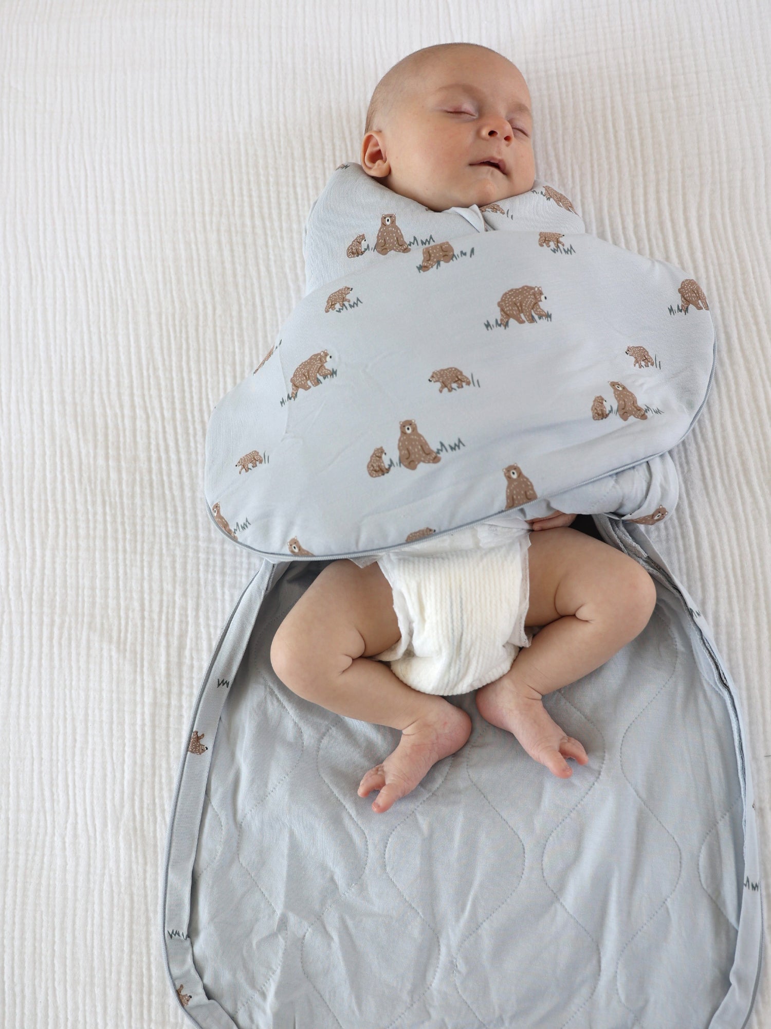 Swaddle Sleep Sack - Teddies / 1.0 TOG