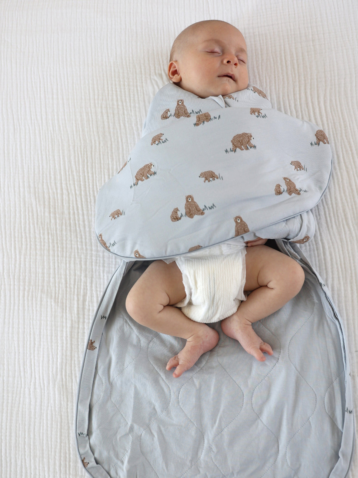 Swaddle Sleep Sack - Teddies / 1.0 TOG
