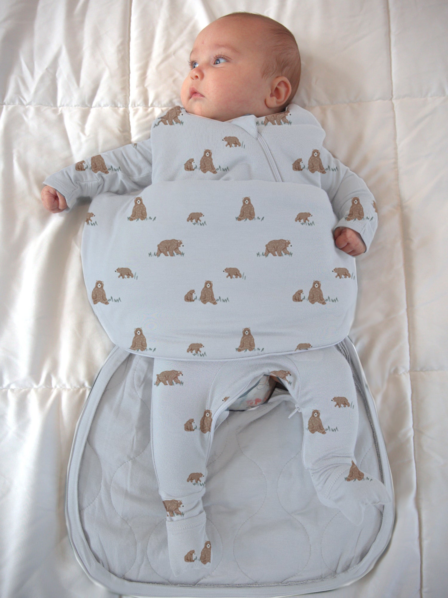 Swaddle Sleep Sack - Teddies / 2.5 TOG