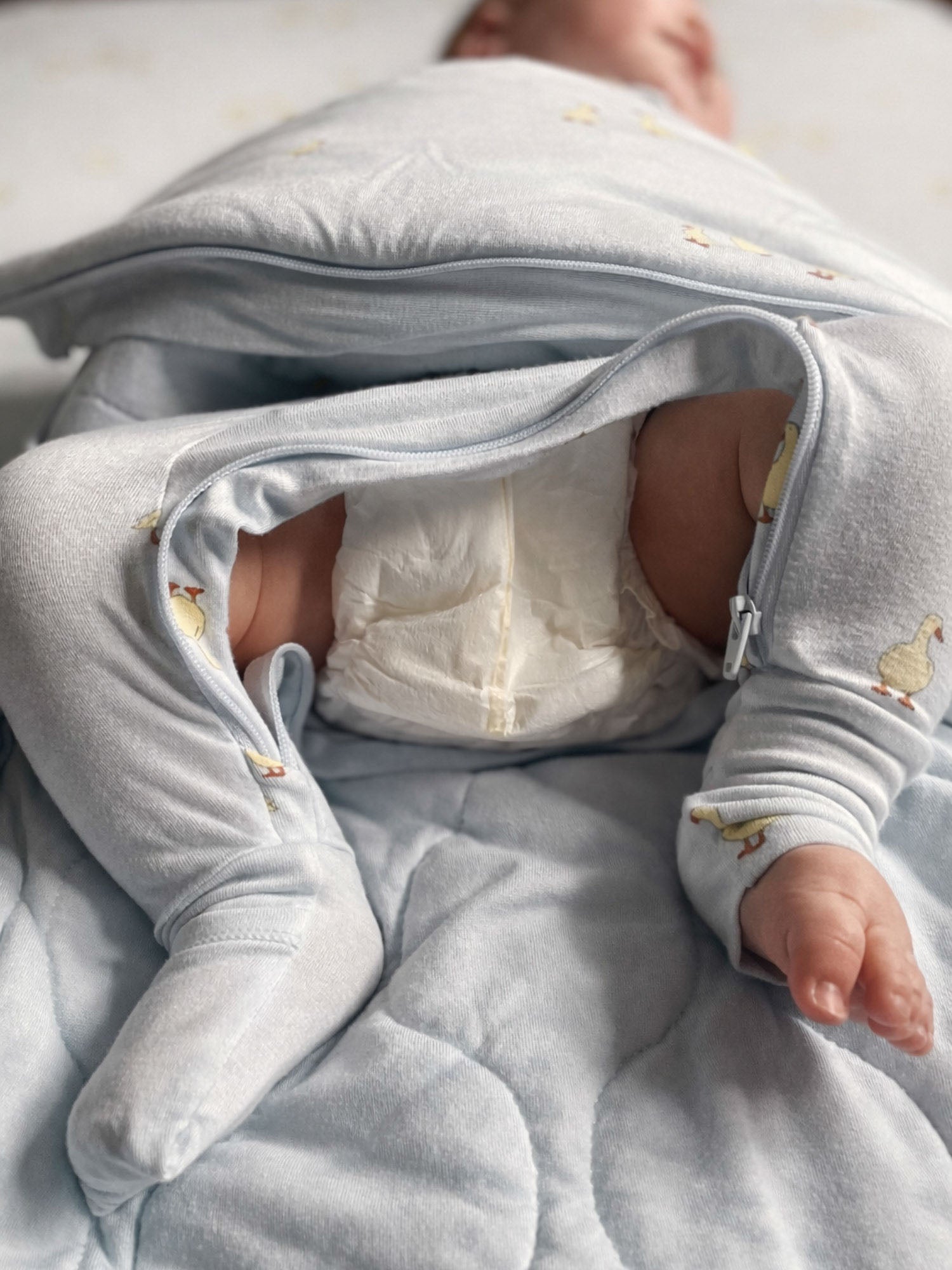 Long Sleeve Swaddle Sleep Sack - Friends / 1.0 TOG