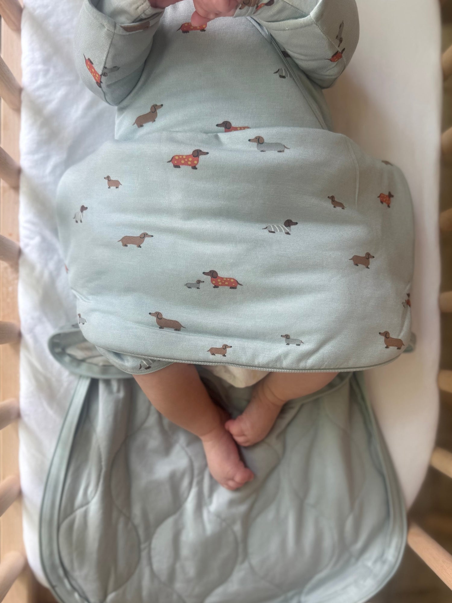 Long Sleeve Swaddle Sleep Sack - Woof / 2.5 TOG
