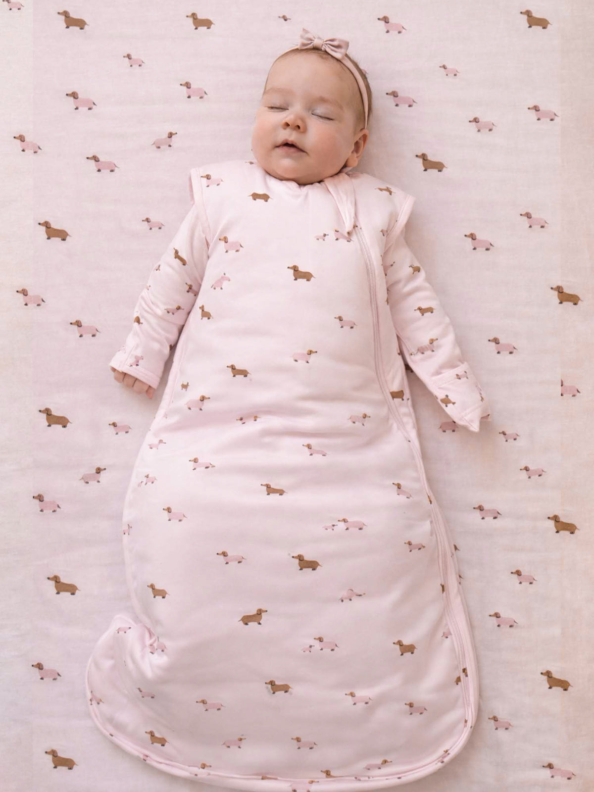 Transitional Swaddle Sleep Sack - Girl Dog / 1.0 TOG