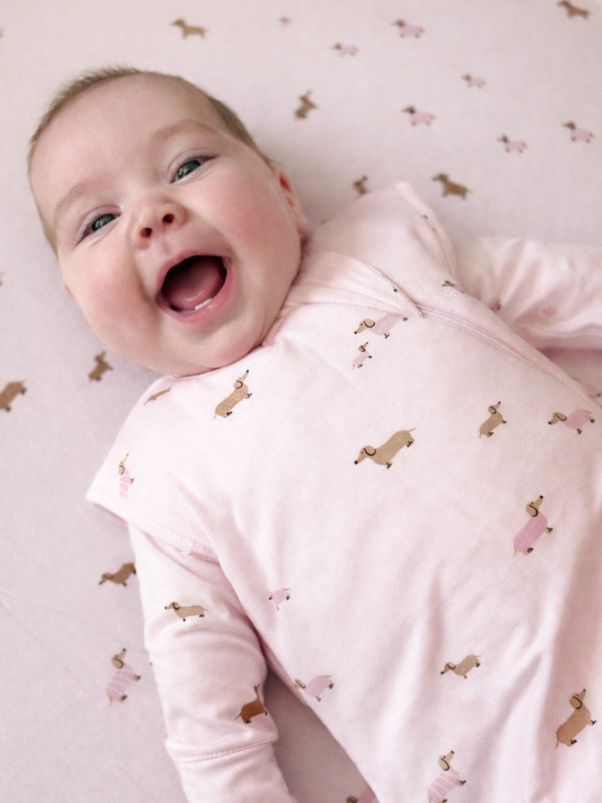 Transitional Swaddle Sleep Sack - Girl Dog / 2.5 TOG