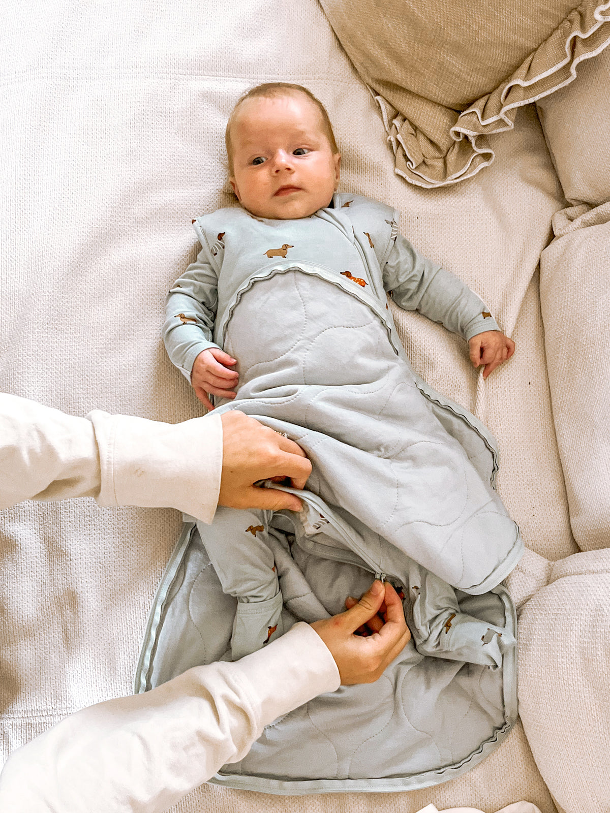 Transitional Swaddle Sleep Sack - Woof / 2.5 TOG