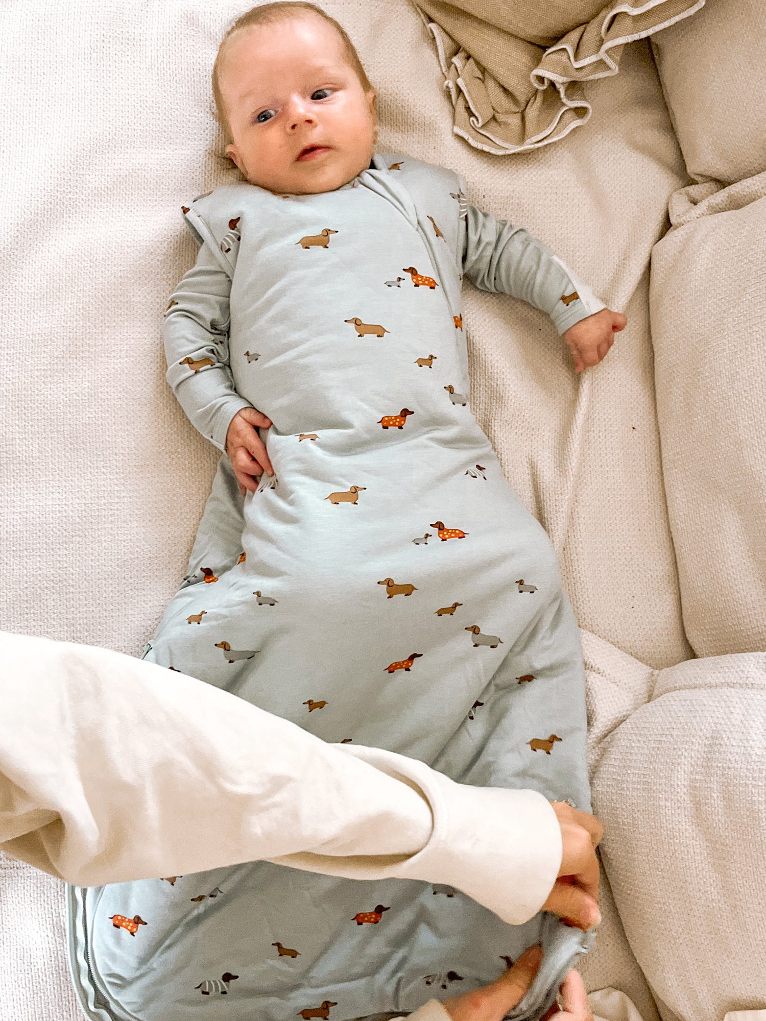 shop woof print