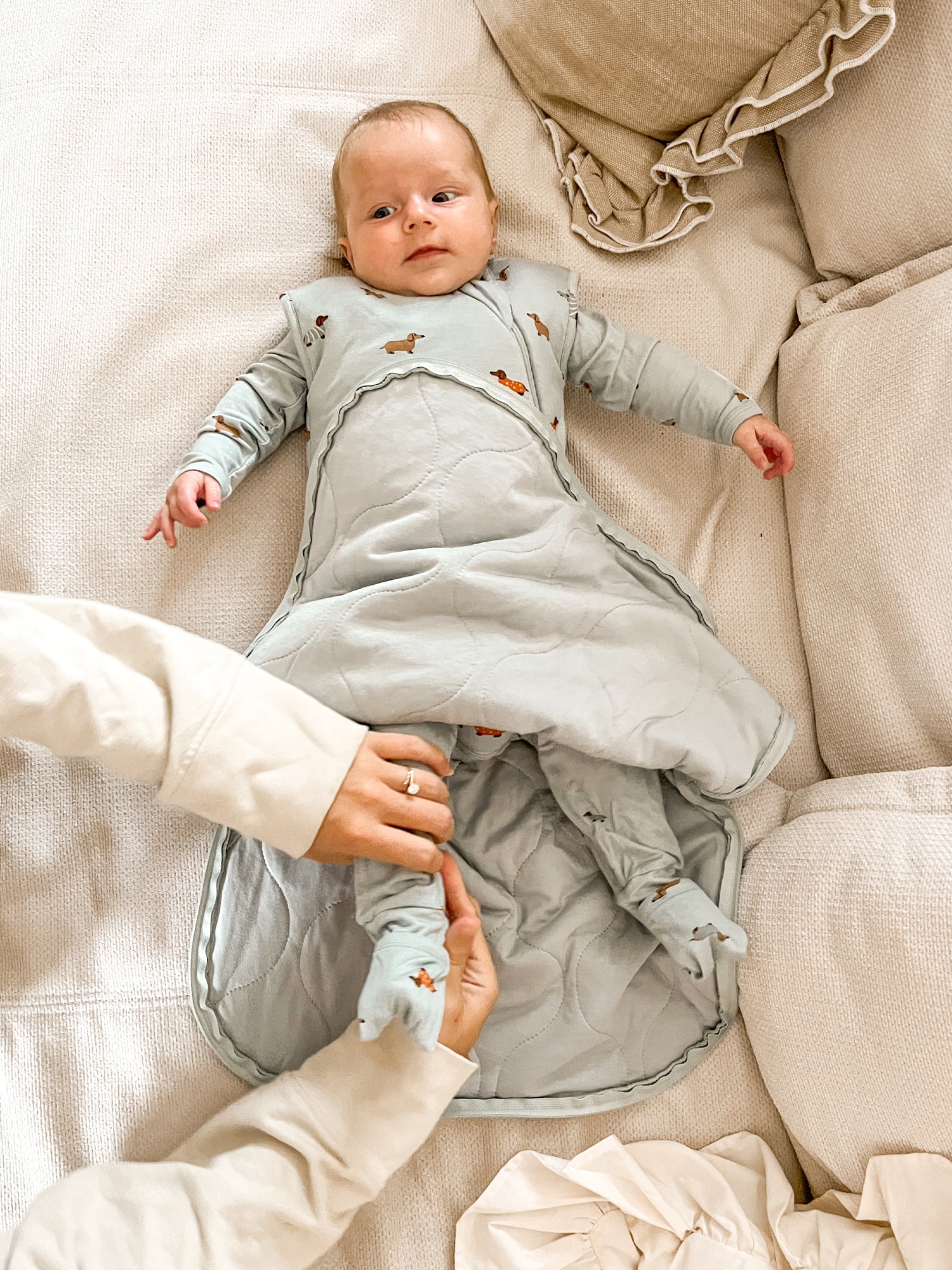 Transitional Swaddle Sleep Sack - Woof / 1.0 TOG