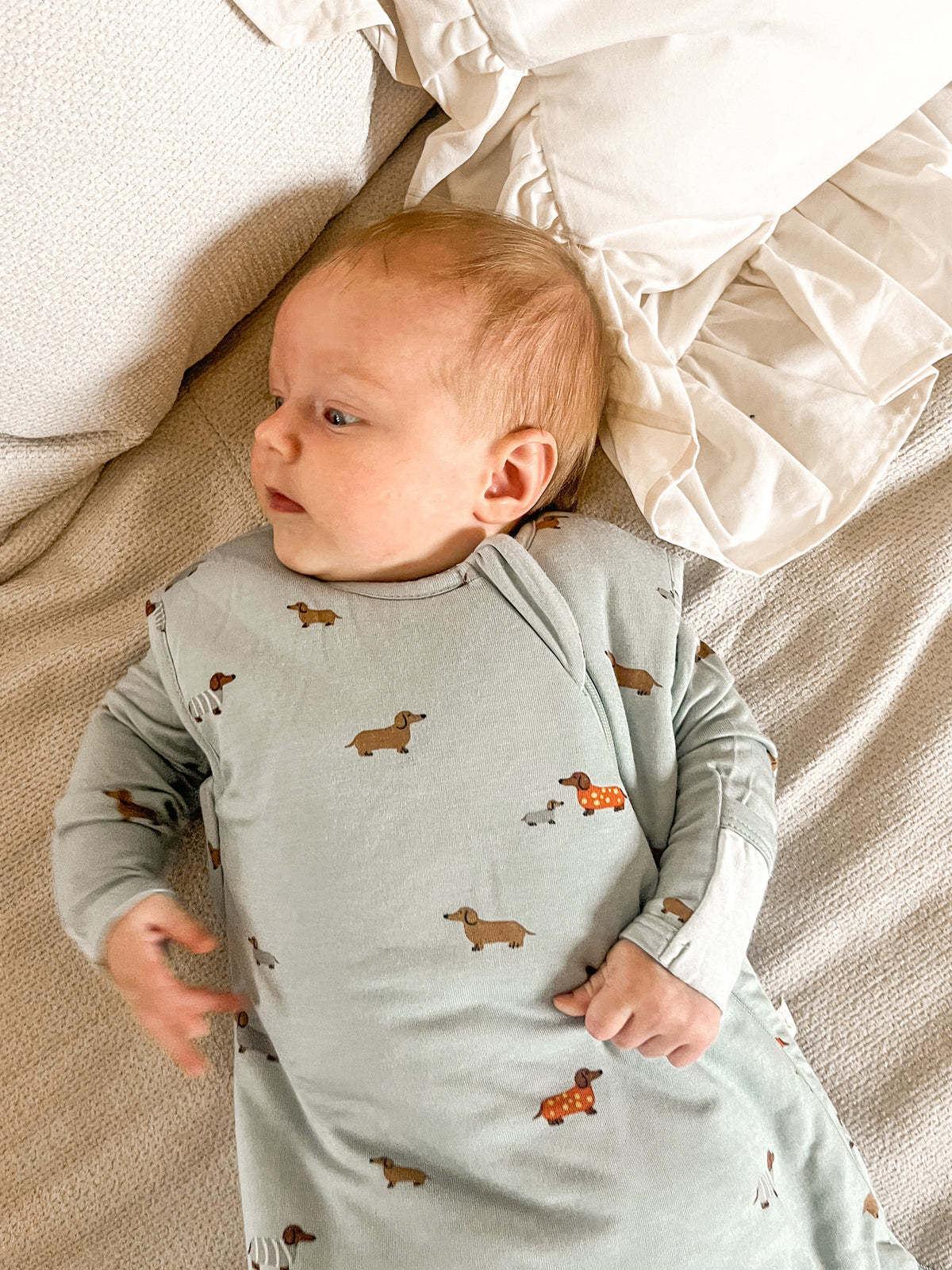Transitional Swaddle Sleep Sack - Woof / 1.0 TOG