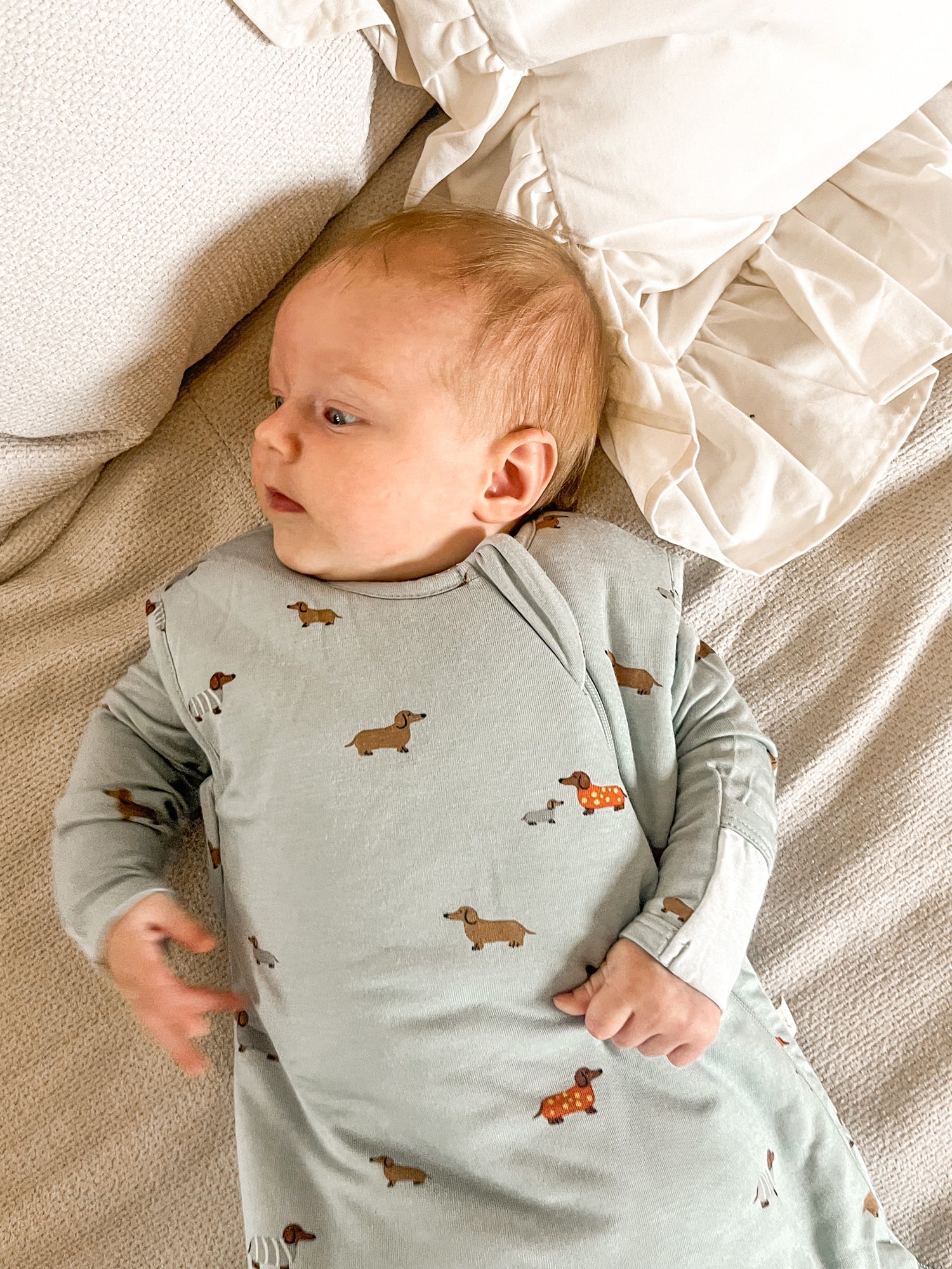 Transitional Swaddle Sleep Sack - Woof / 1.0 TOG