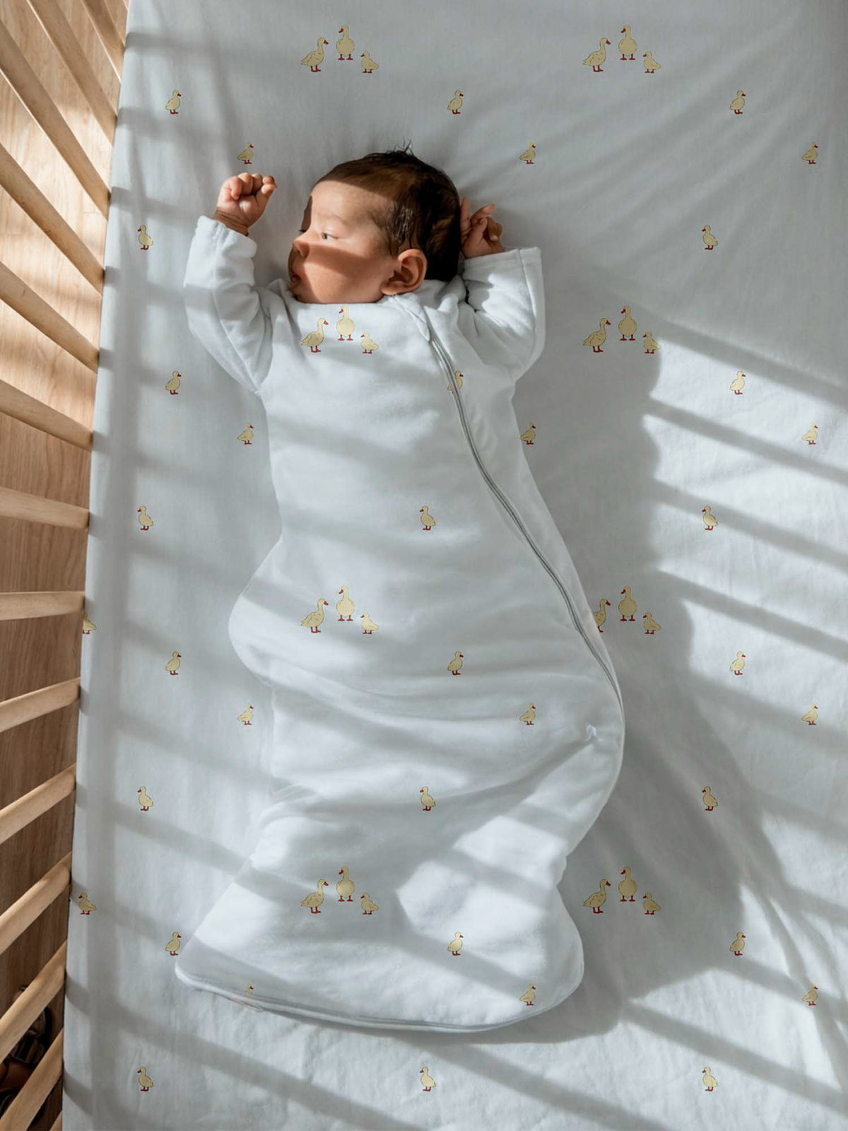 Long Sleeve Transitional Swaddle Sack - Friends / 0.5 TOG