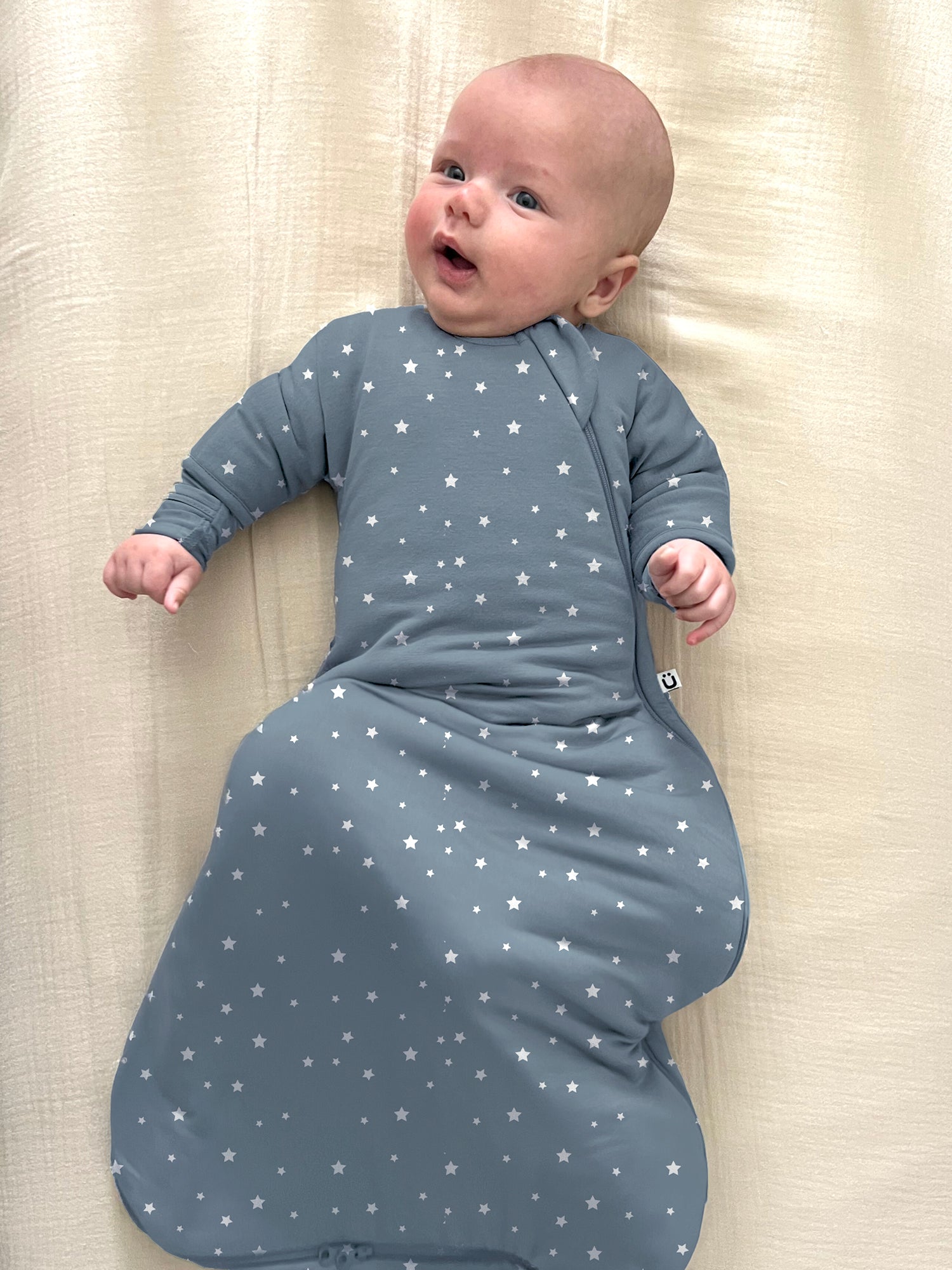 Long Sleeve Transitional Swaddle Sack - Dream