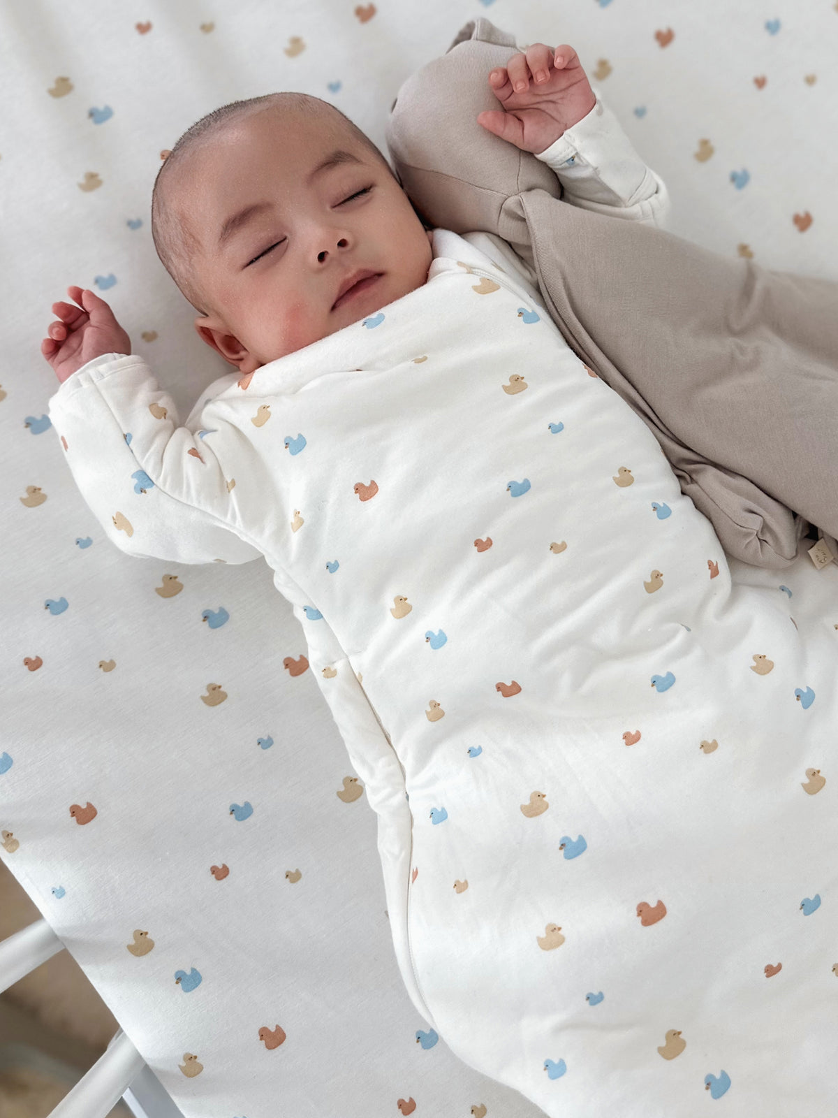 Long Sleeve Transitional Swaddle Sack - Ducks / 1.0 TOG