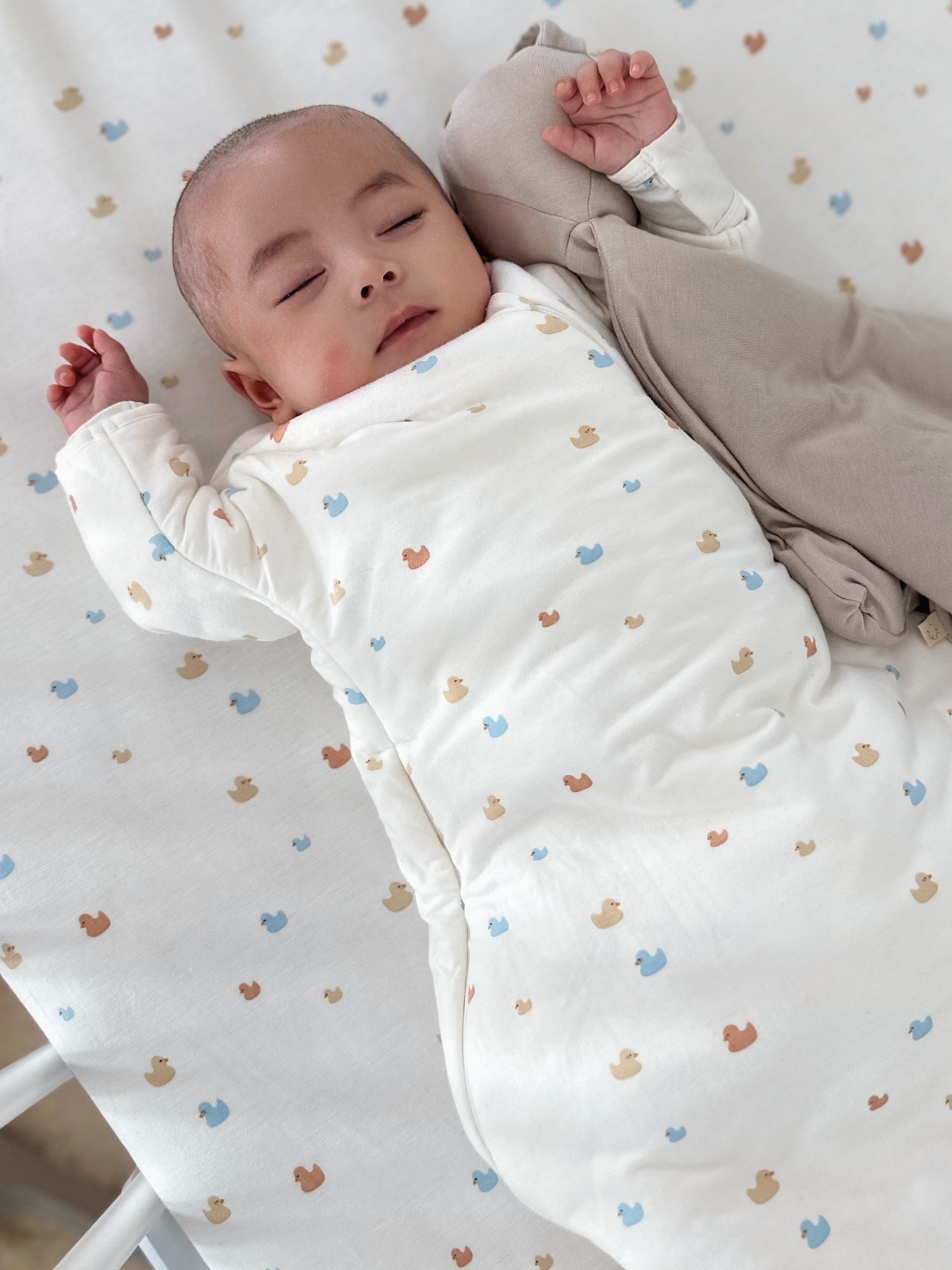 Long Sleeve Transitional Swaddle Sack - Ducks