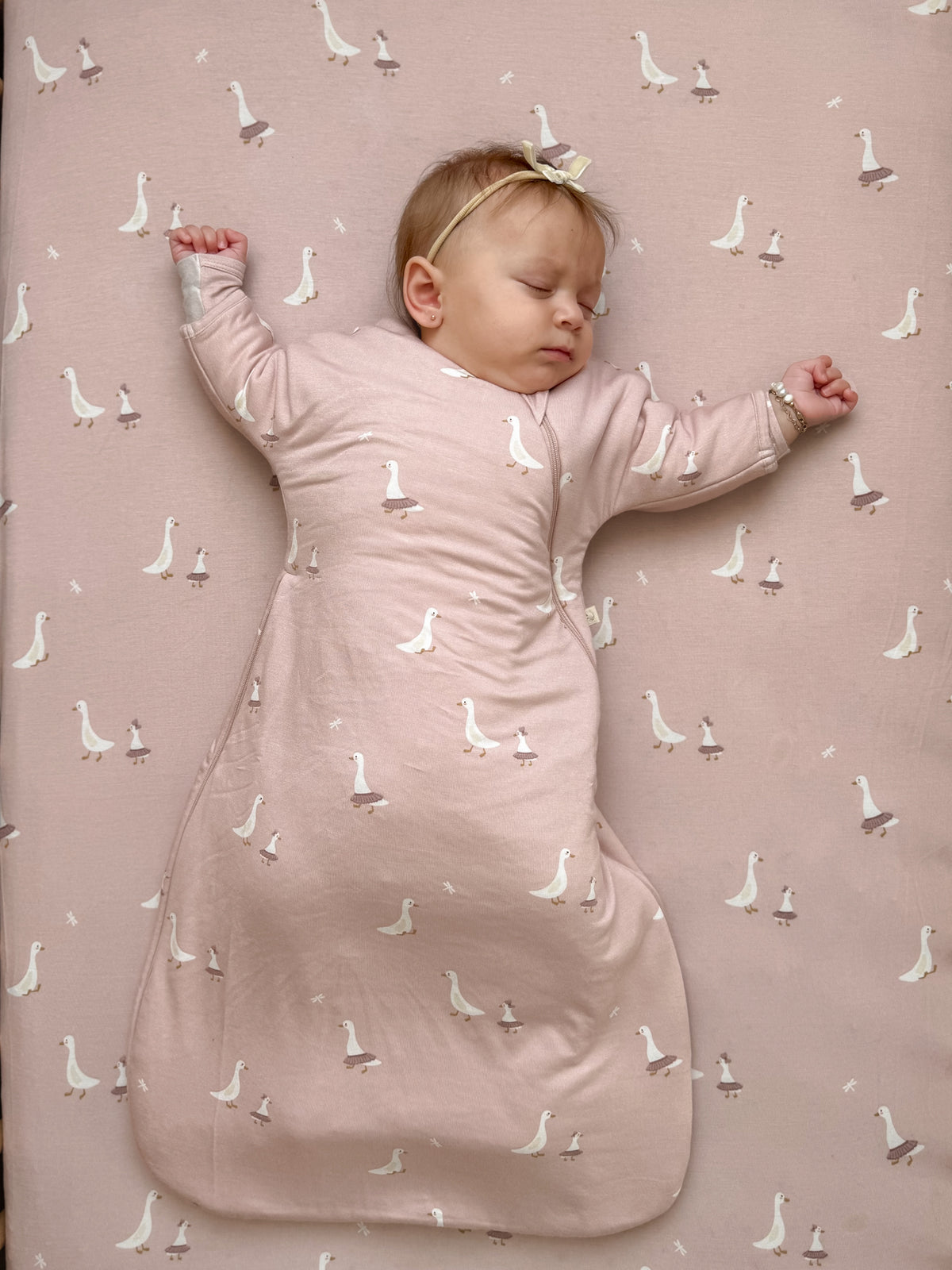 Long Sleeve Transitional Swaddle Sack - Tutu Goose / 1.0 TOG