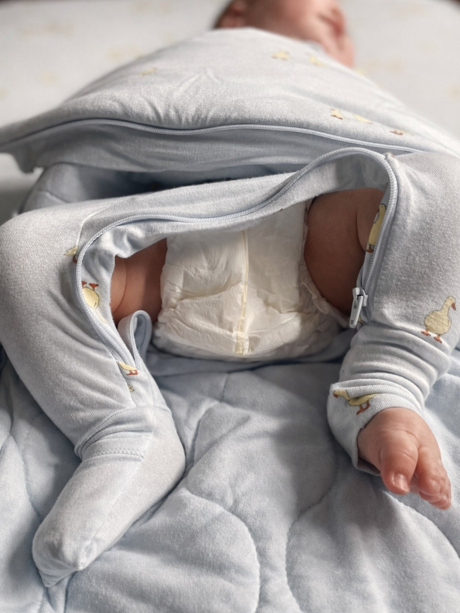 Long Sleeve Swaddle Sleep Sack - Friends / 1.0 TOG