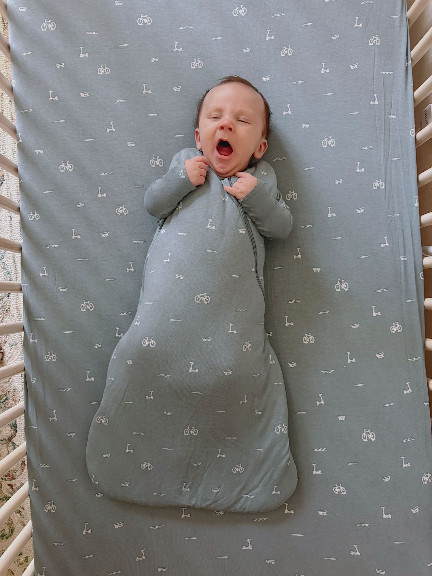 Swaddle Sleep Sack - Dash / 1.0 TOG