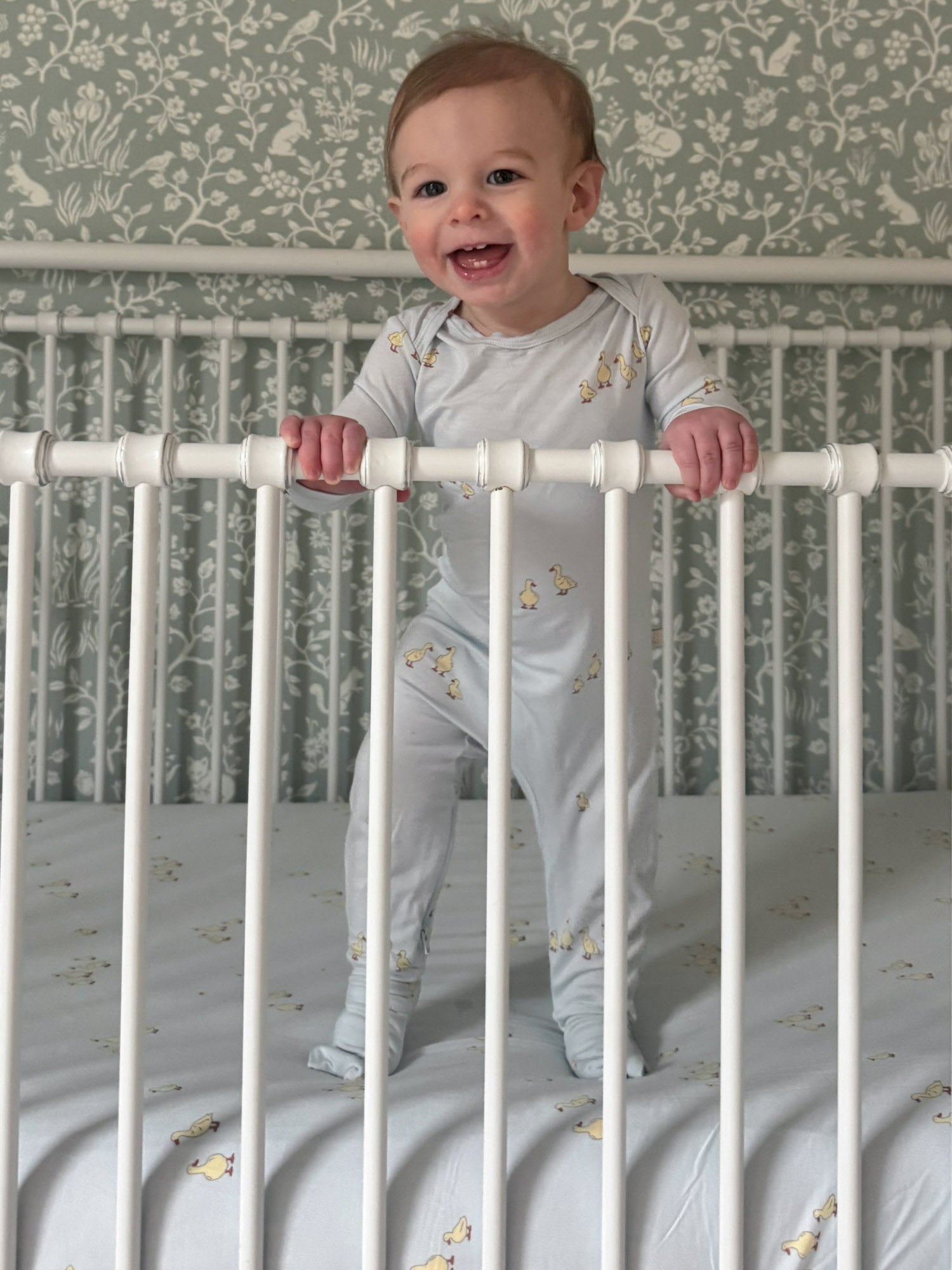 Crib Sheet - Friends