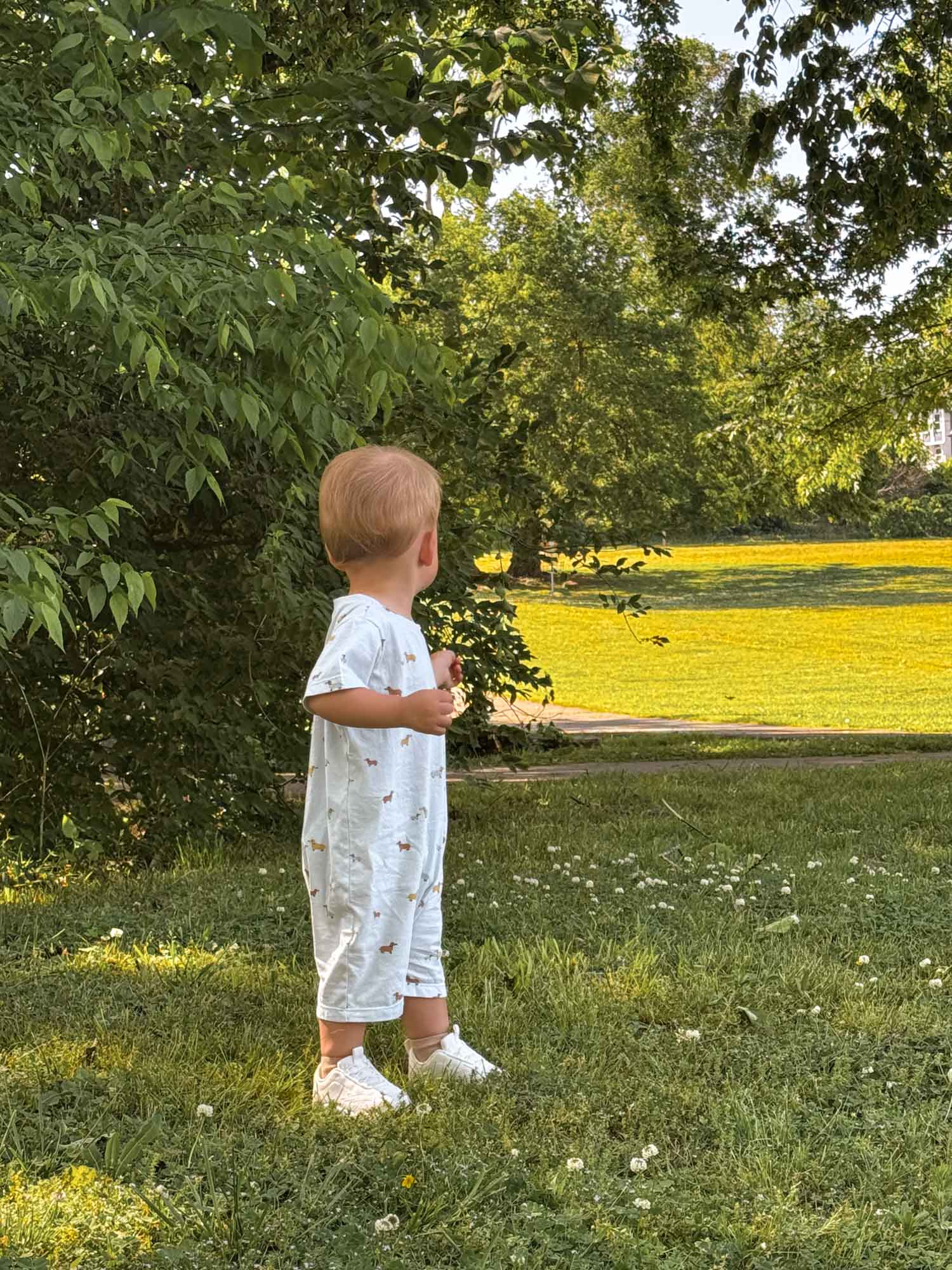 Cotton Shortie Romper - Woof