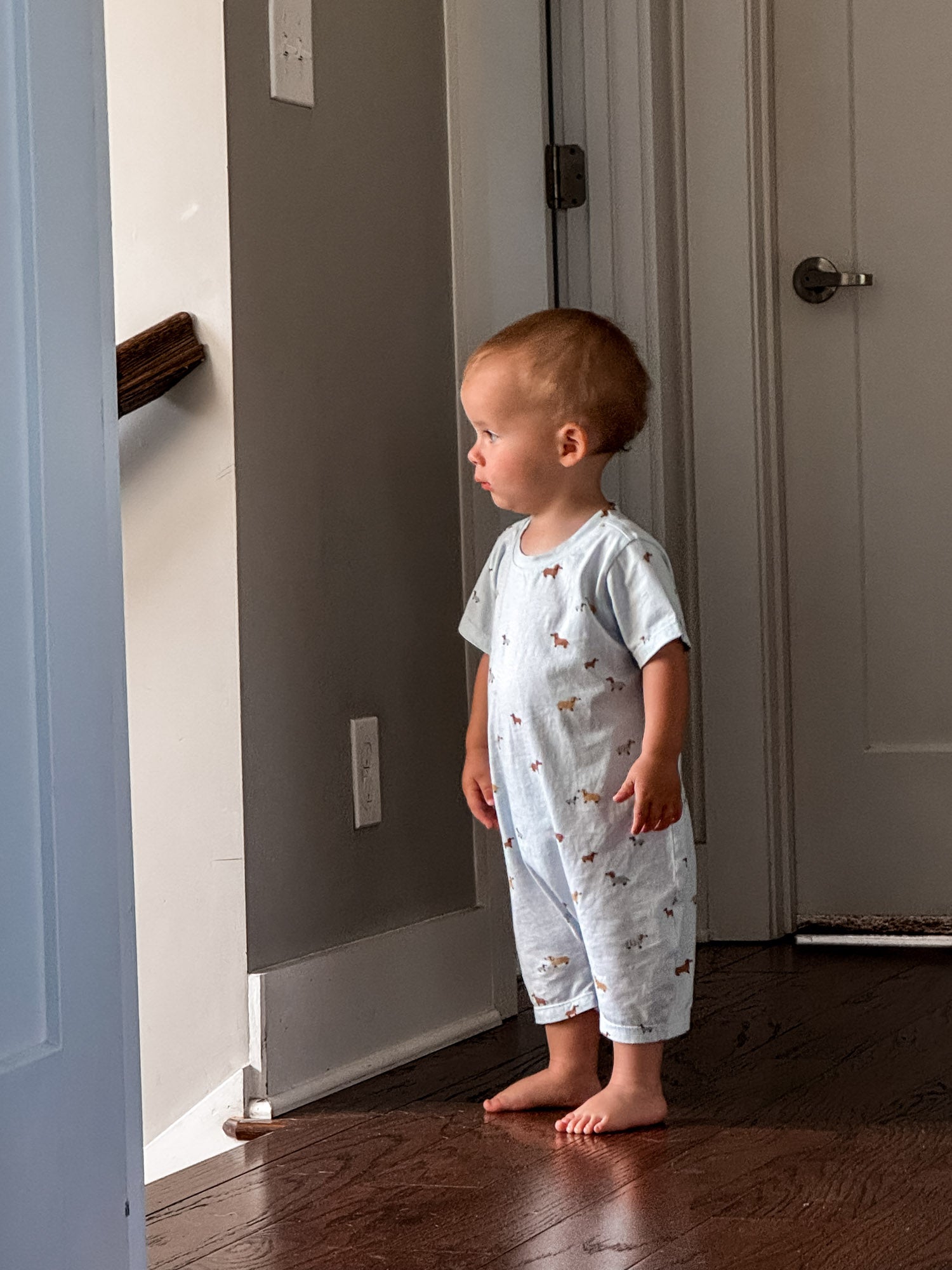 Cotton Shortie Romper - Woof