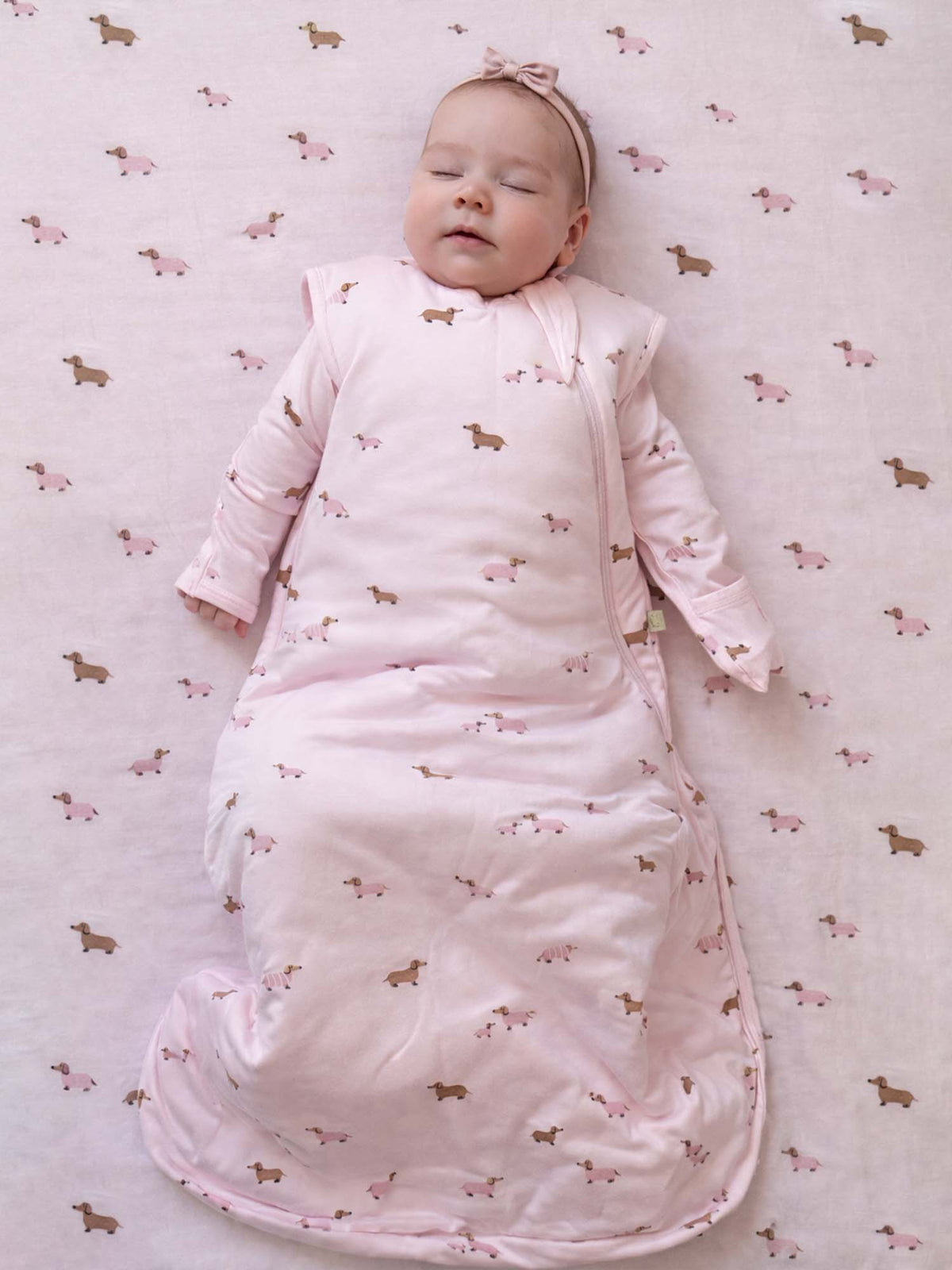 Transitional Swaddle Sleep Sack - Girldog / 1.0 TOG
