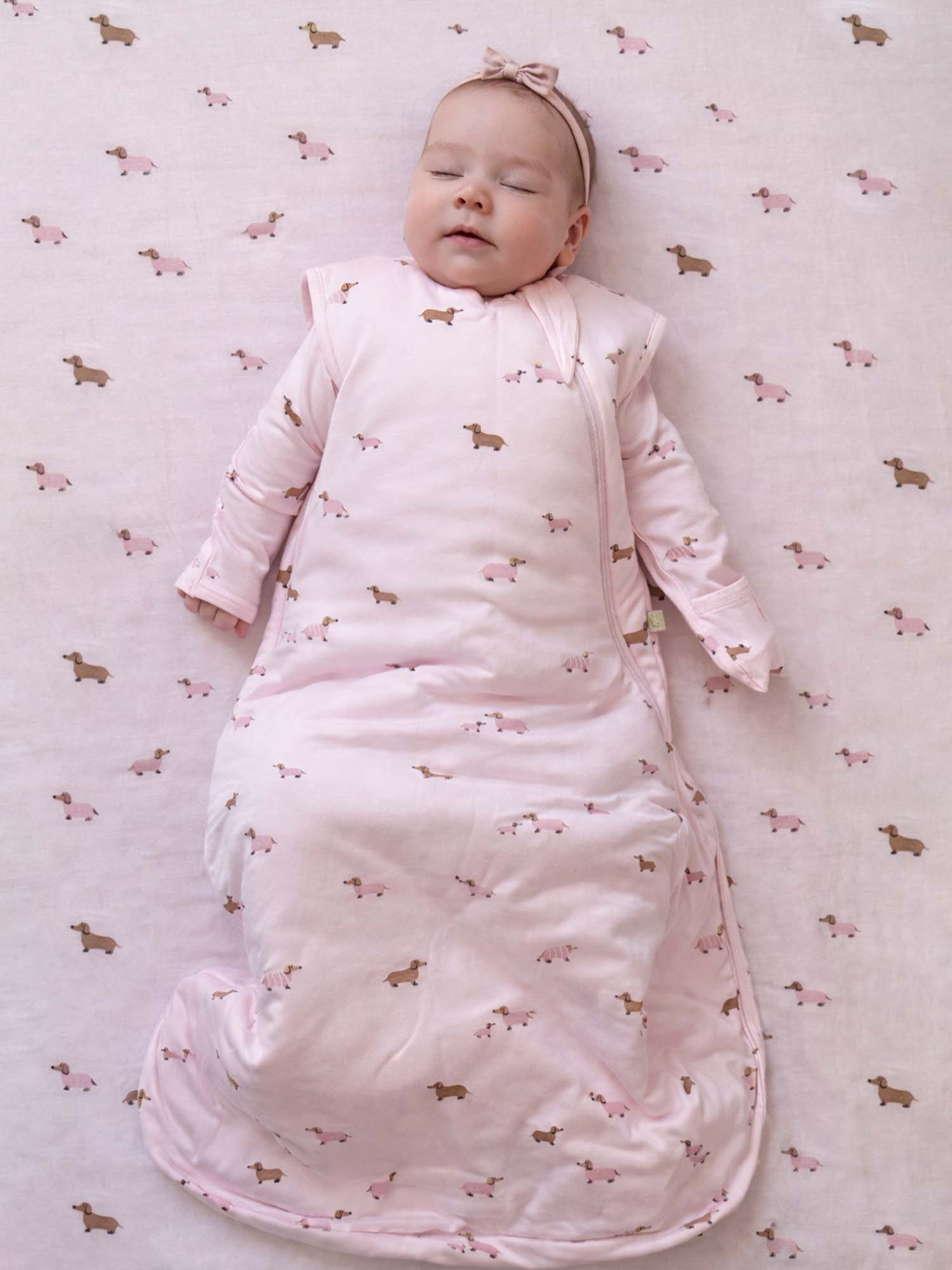 Transitional Swaddle Sleep Sack - Girldog / 1.0 TOG