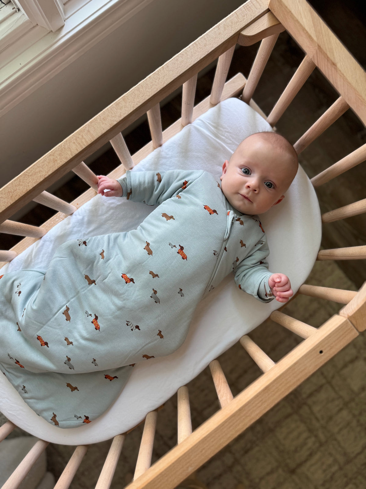 Long Sleeve Swaddle Sleep Sack - Woof / 2.5 TOG