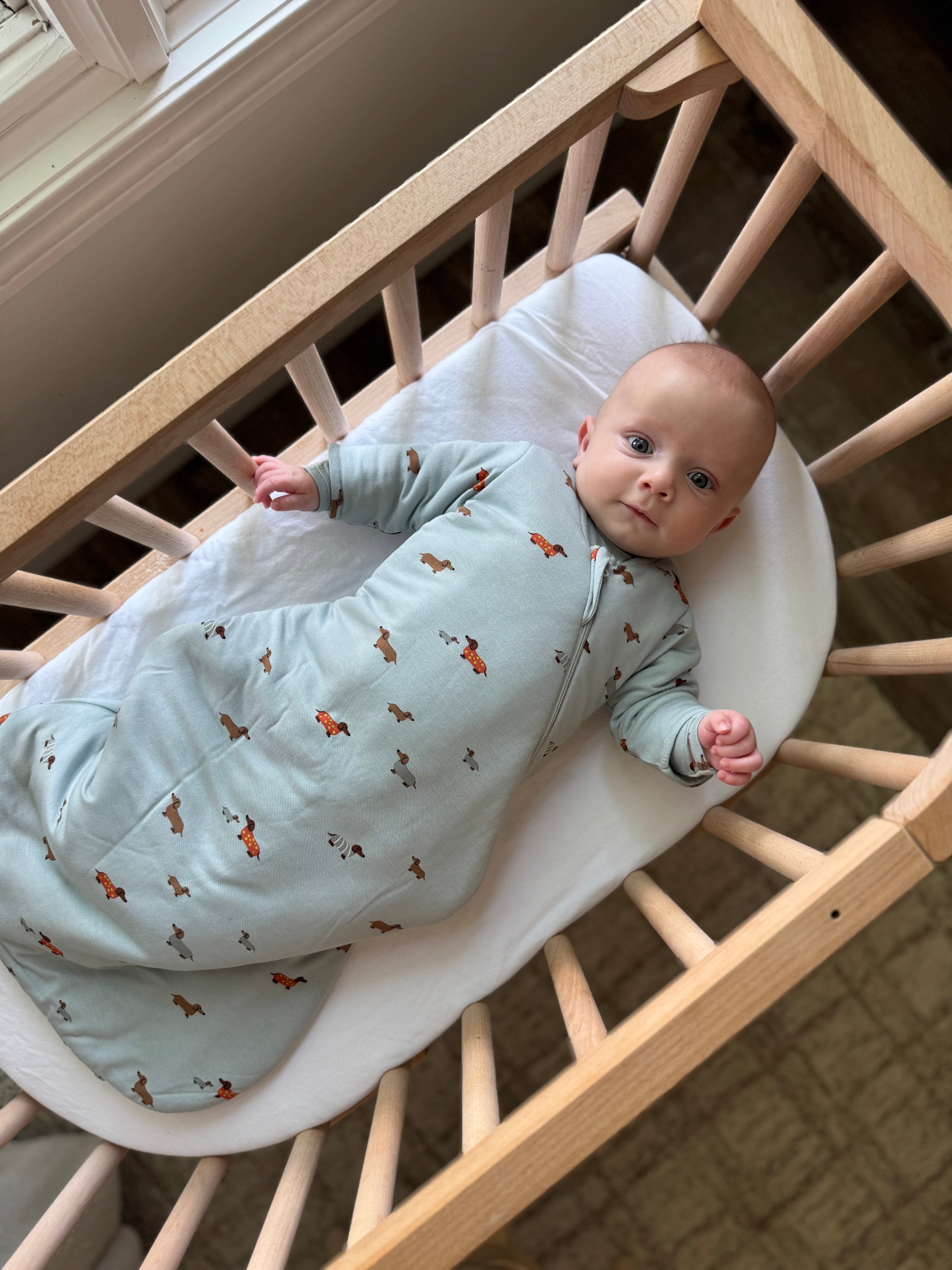 Long Sleeve Swaddle Sleep Sack - Woof / 2.5 TOG