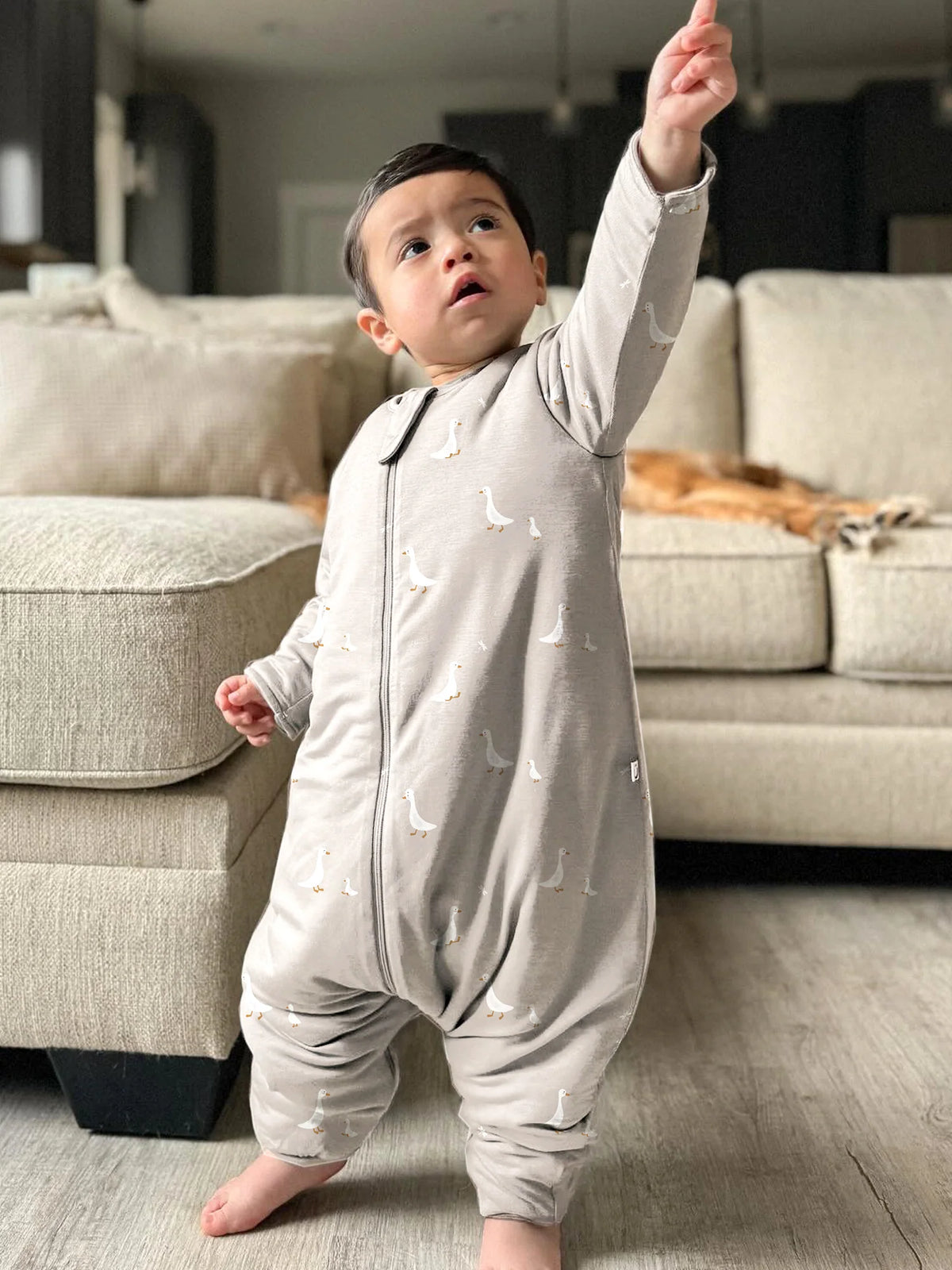 Long Sleeve Footie Sleep Sack - Goose / 0.5 TOG