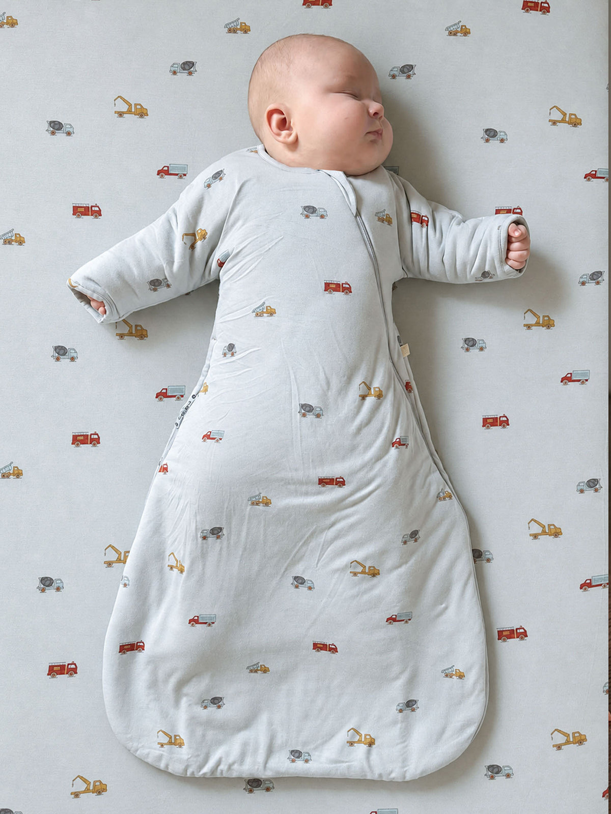 Long Sleeve Transitional Swaddle Sack - Working / 1.0 TOG