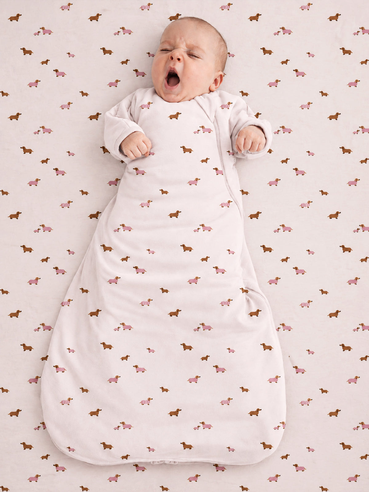 Long sleeve transitional swaddle sack for baby, white dog print, zip front