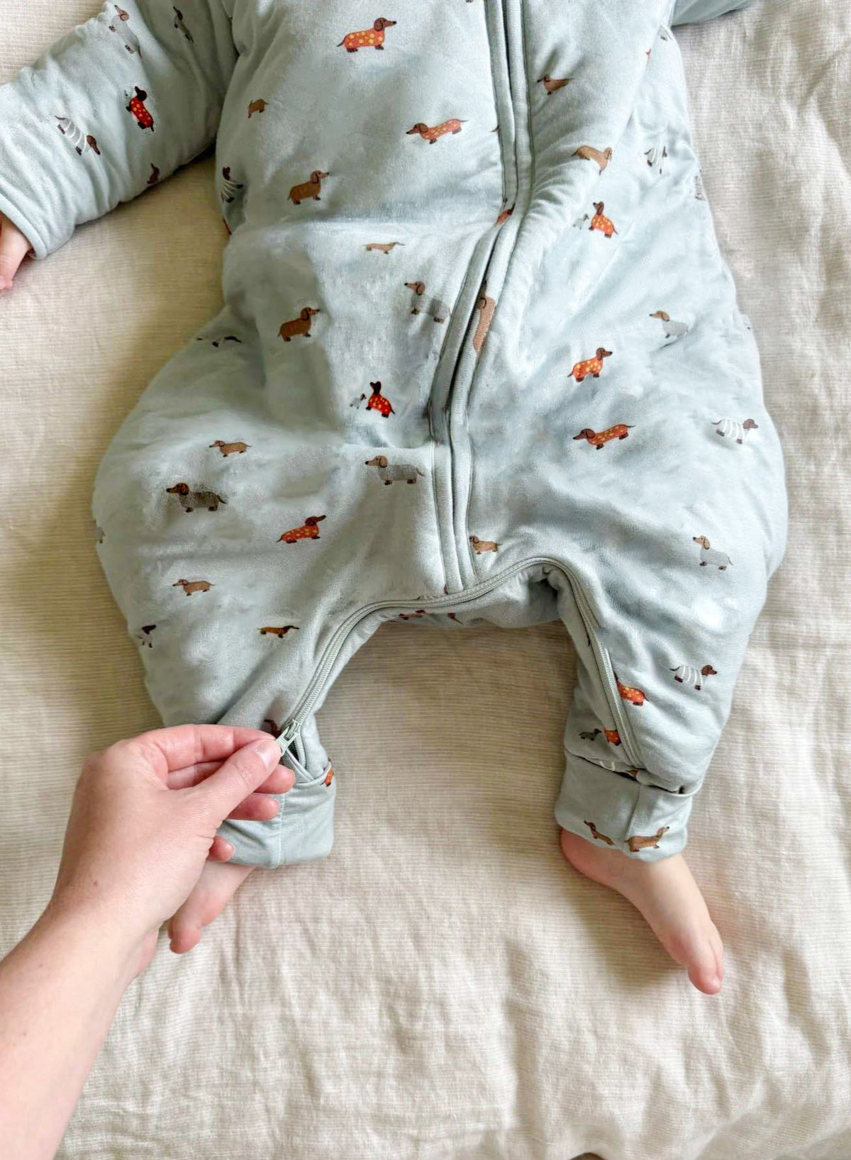 Long-sleeve footie sleep sack with dachshund print and full front zipper opening