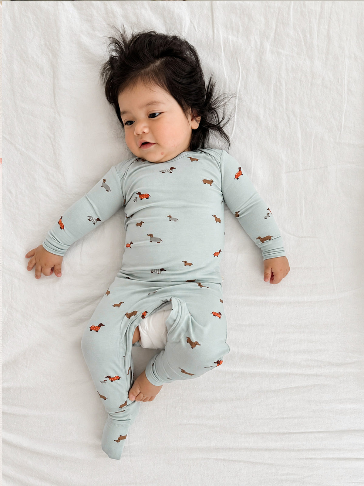 Light blue baby pajamas with dachshund print and convertible legs