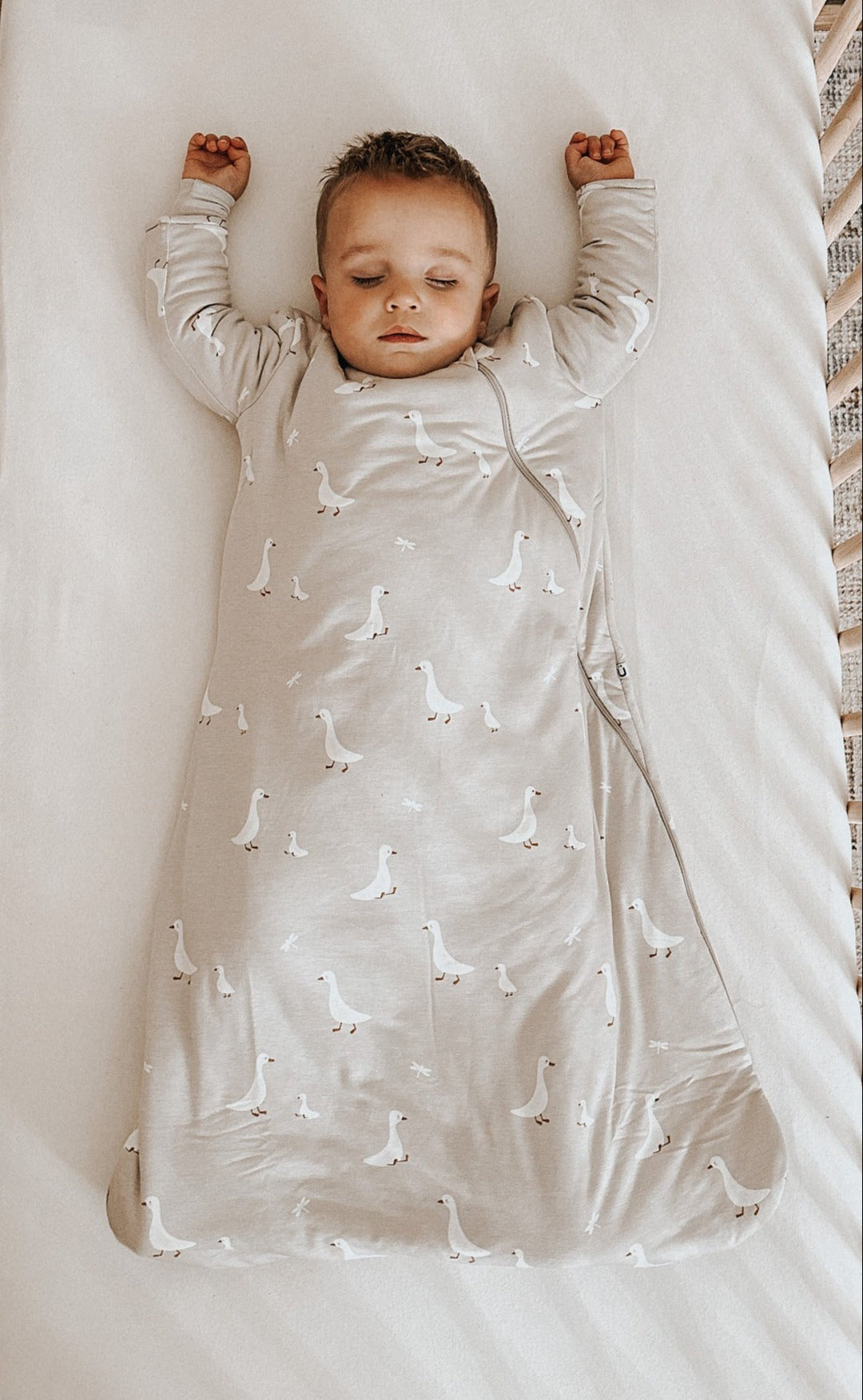 Baby sleep sack with sleeves best sale