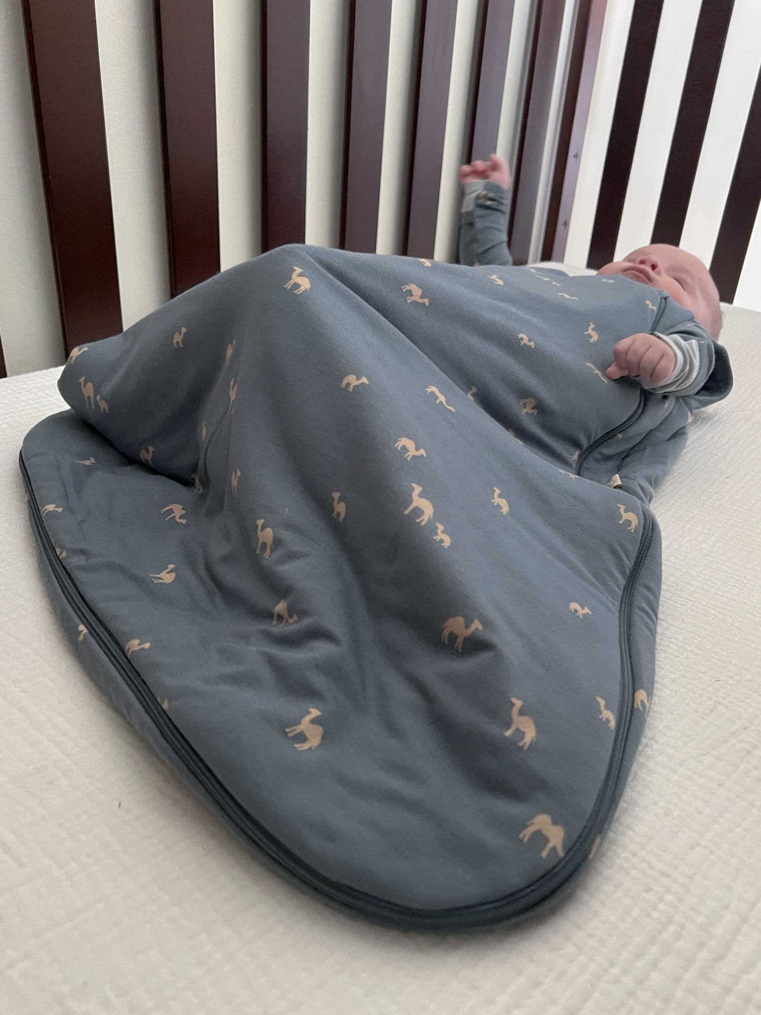 Sleep Sack - Camel / 2.5 TOG