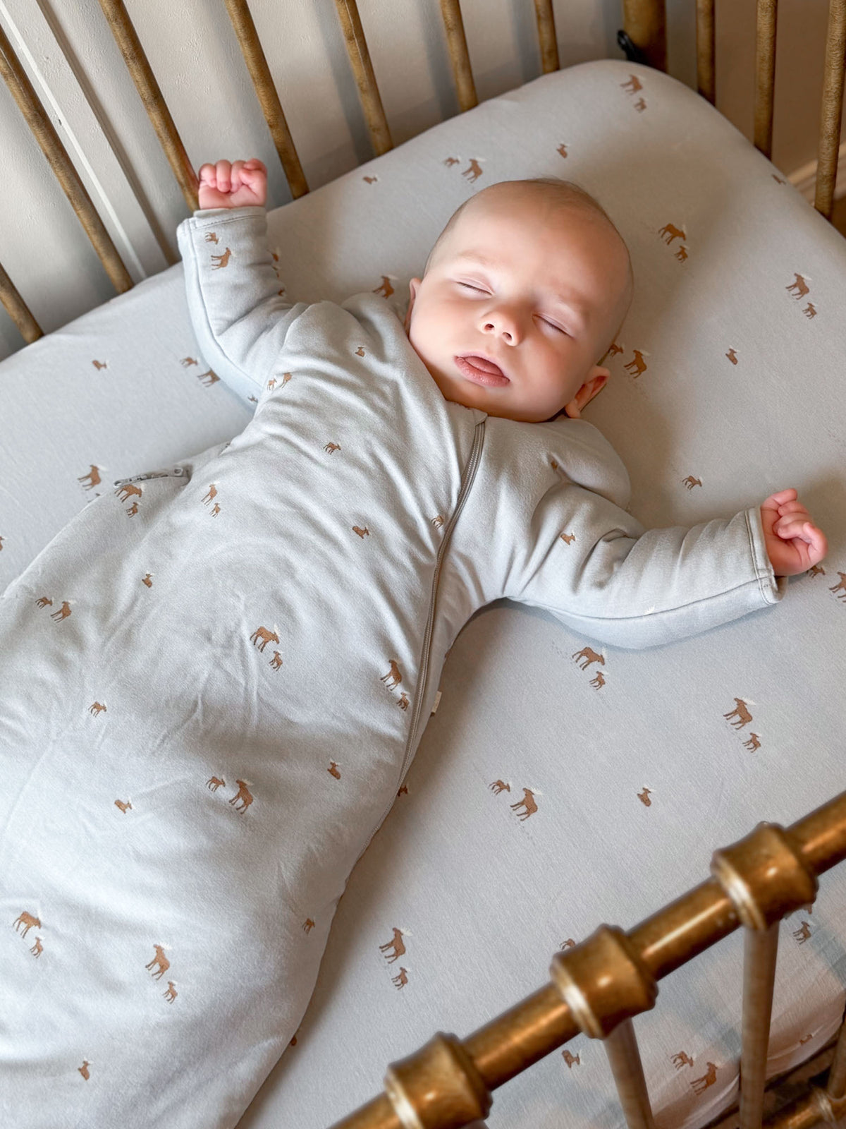 Long Sleeve Transitional Swaddle Sack - Moose / 2.5 TOG